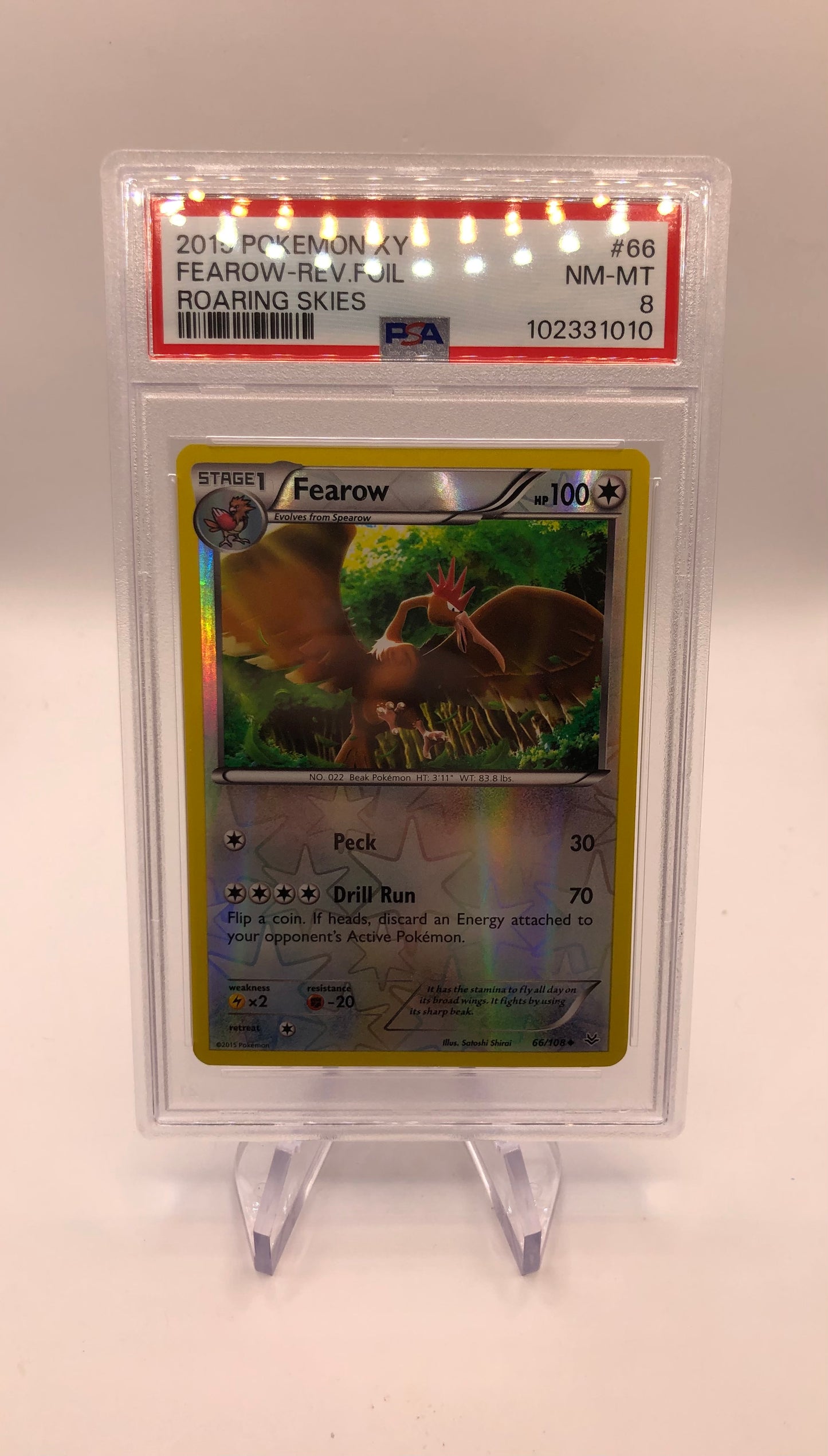 Pokemon Karte PSA 8 Revers Ibitak 66/108 Englisch