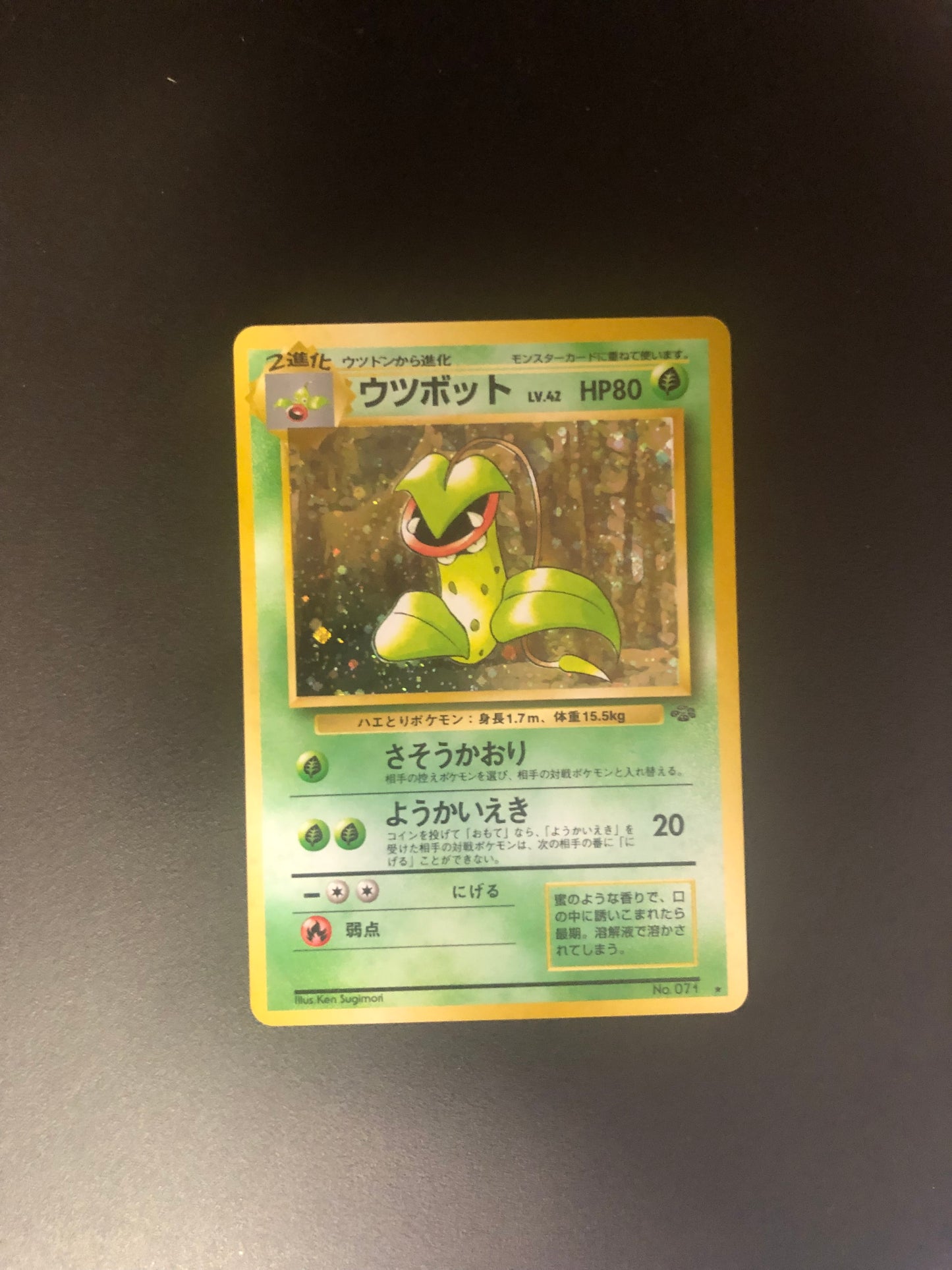 Pokemon Karte Holo Sarzenia No.71 Japanisch