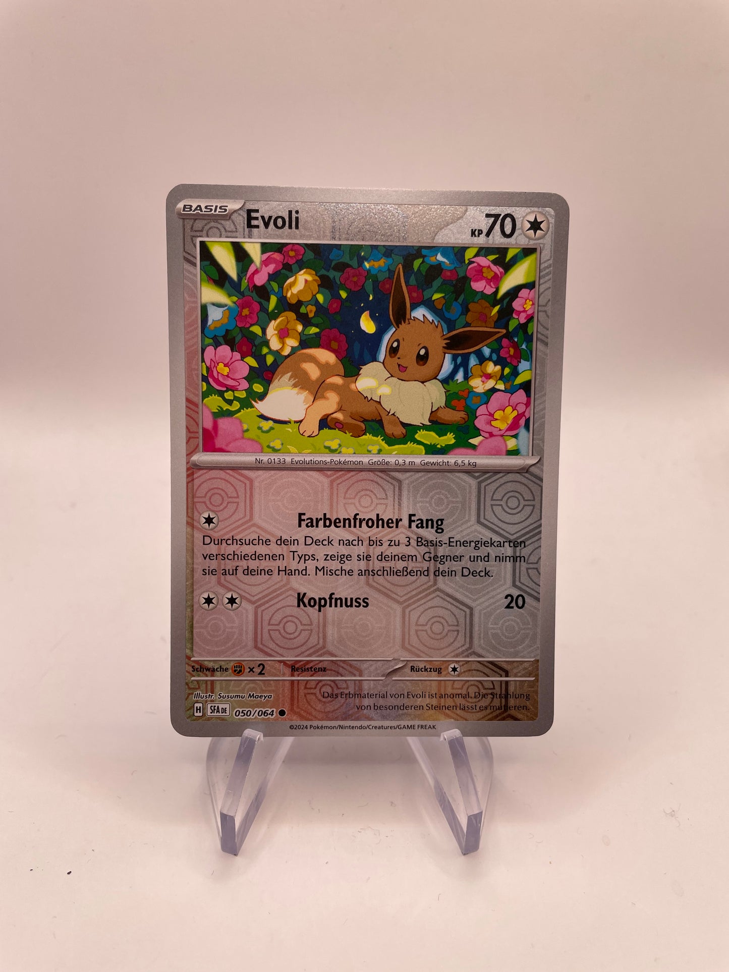 Pokemon Karte Evoli 50/64 Deutsch