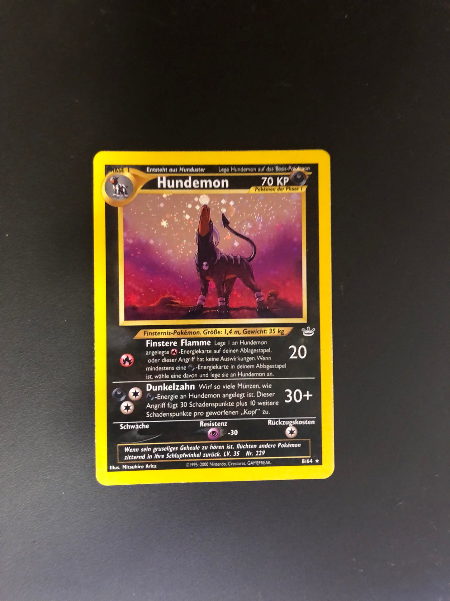 Pokemon Karten Holo Hundemon 8/64 Deutsch