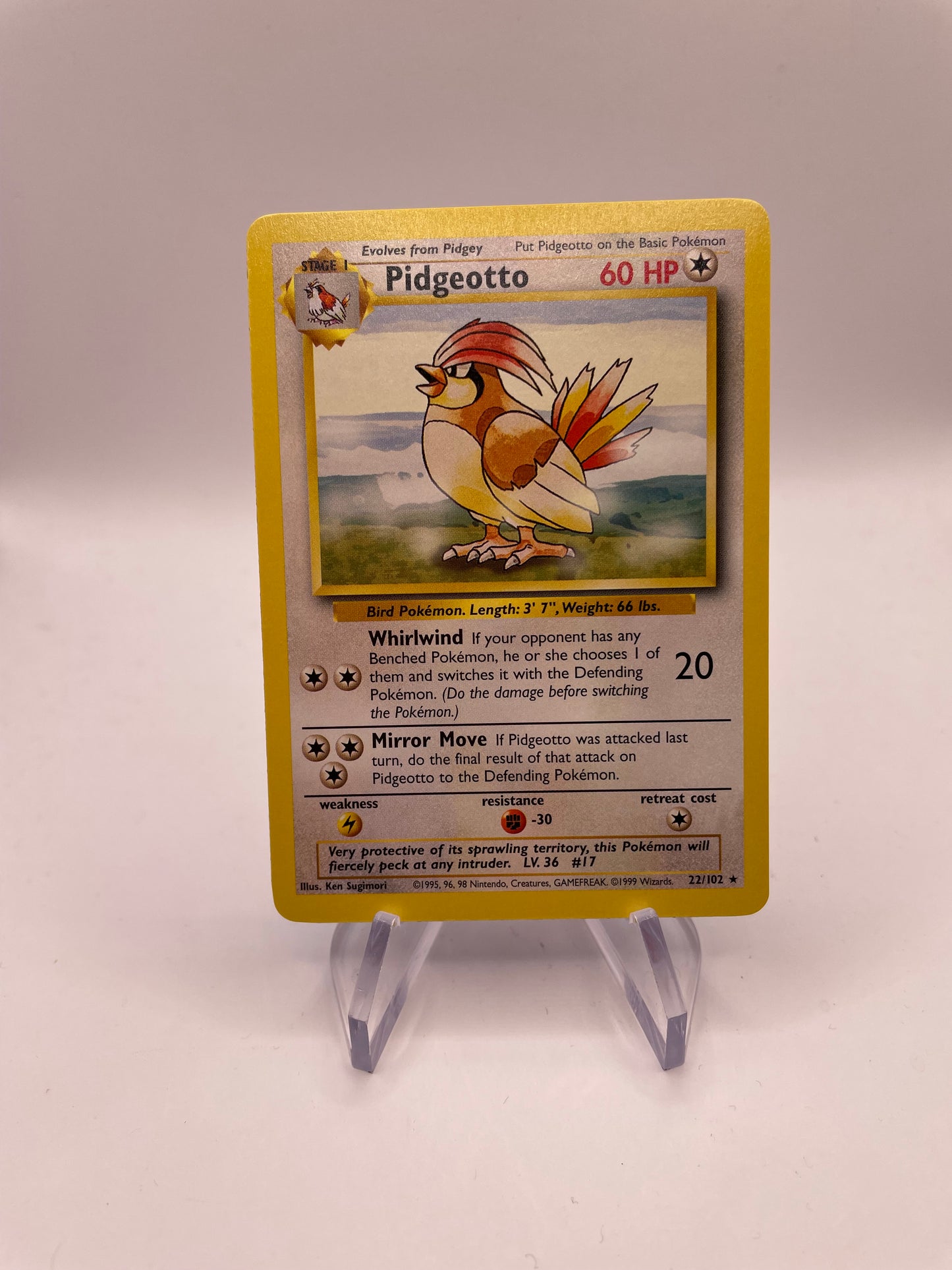Pokemon Karte Base Set Pidgeotto 22/102 Englisch