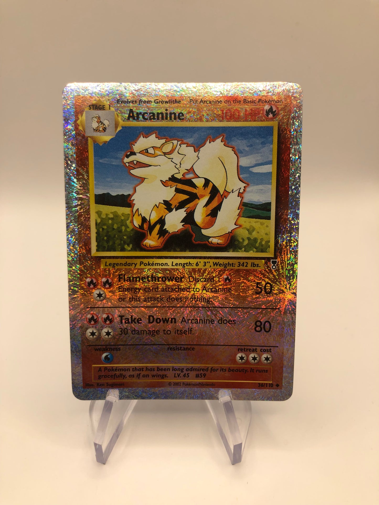 Pokemon Karte Revers Arcanine 36/110 Englisch