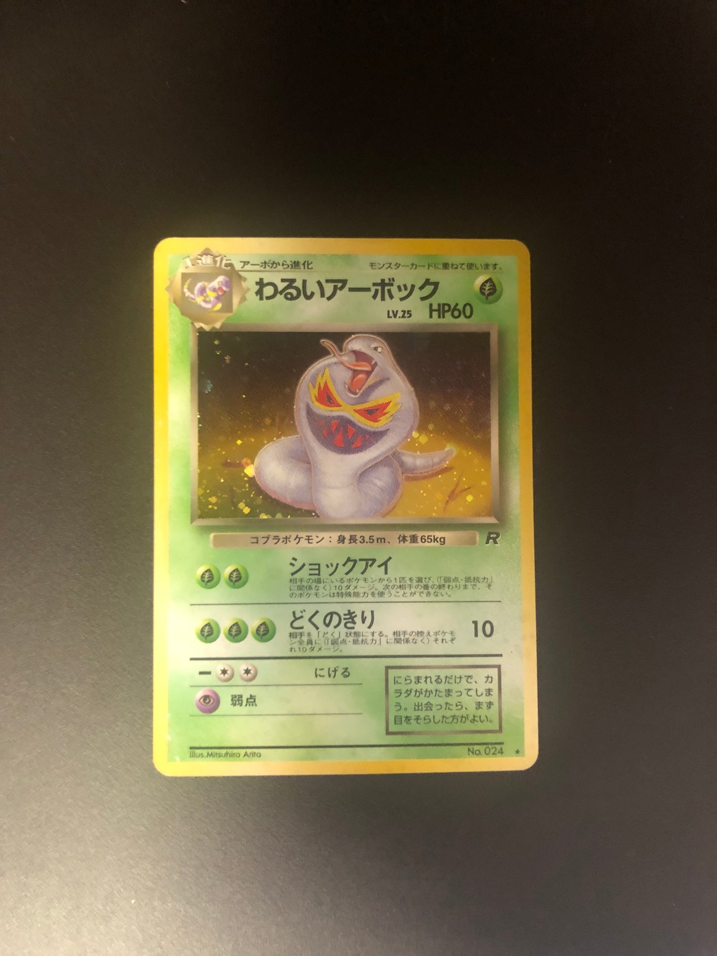 Pokemon Karte Holo Arbok No.24 Japanisch