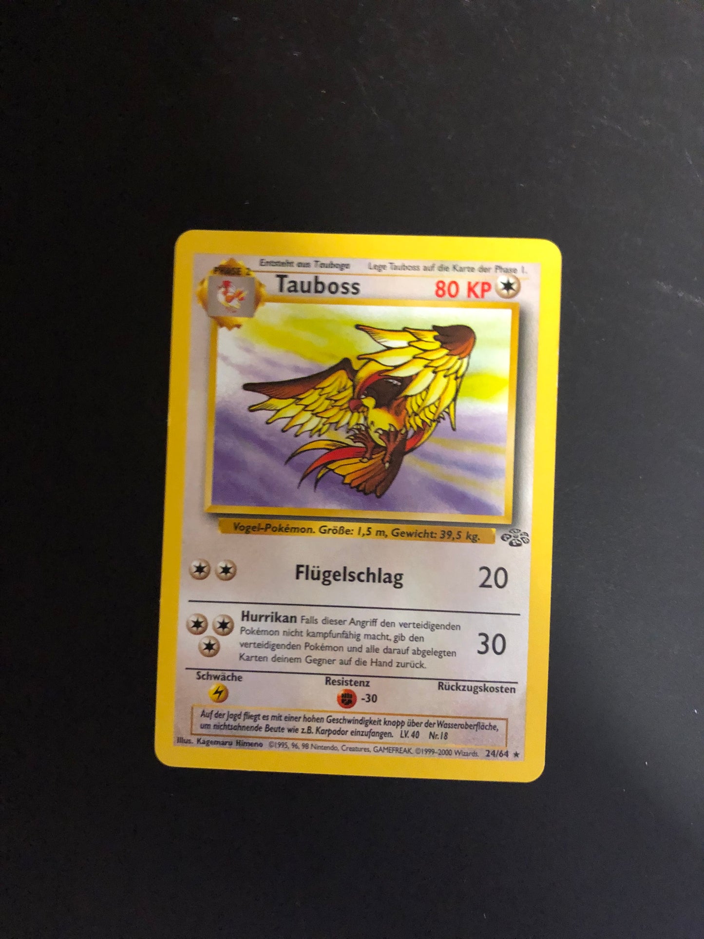 Pokemon Karte Tauboss 24/64 Deutsch