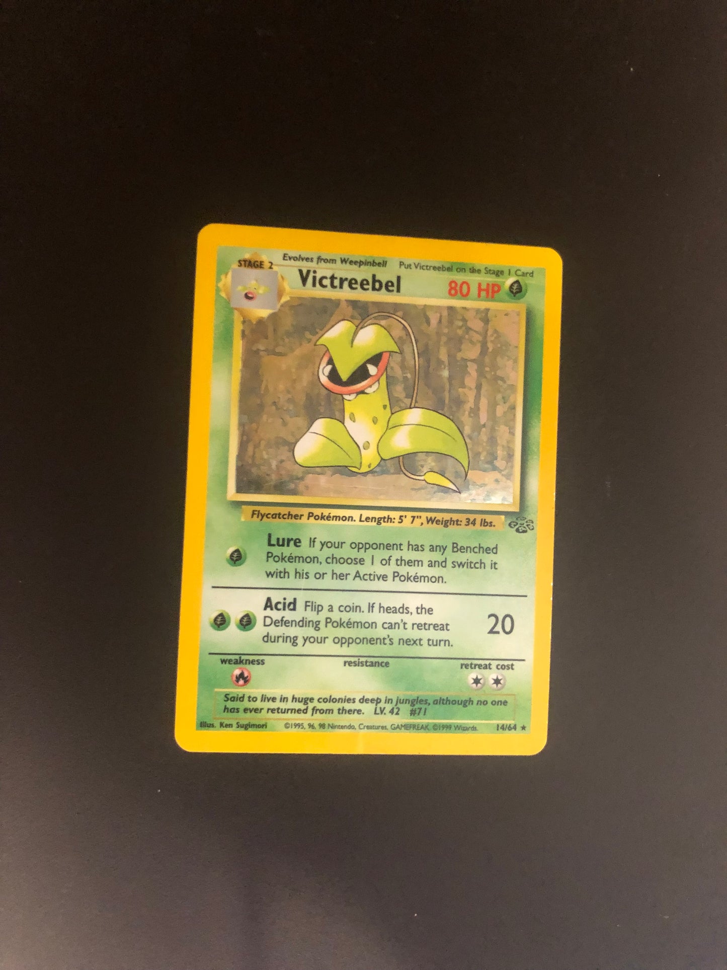 Pokemon Karten Holo Sarzenia 14/64 Englisch