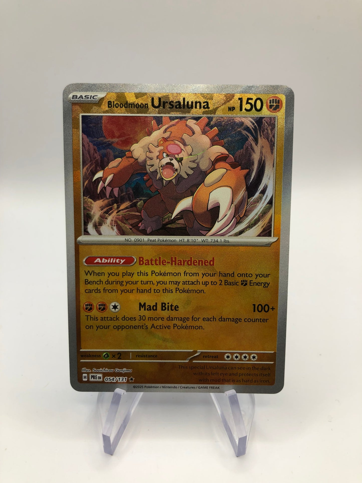 Pokemon Karte Revers Ursaluna 54/131 Englisch