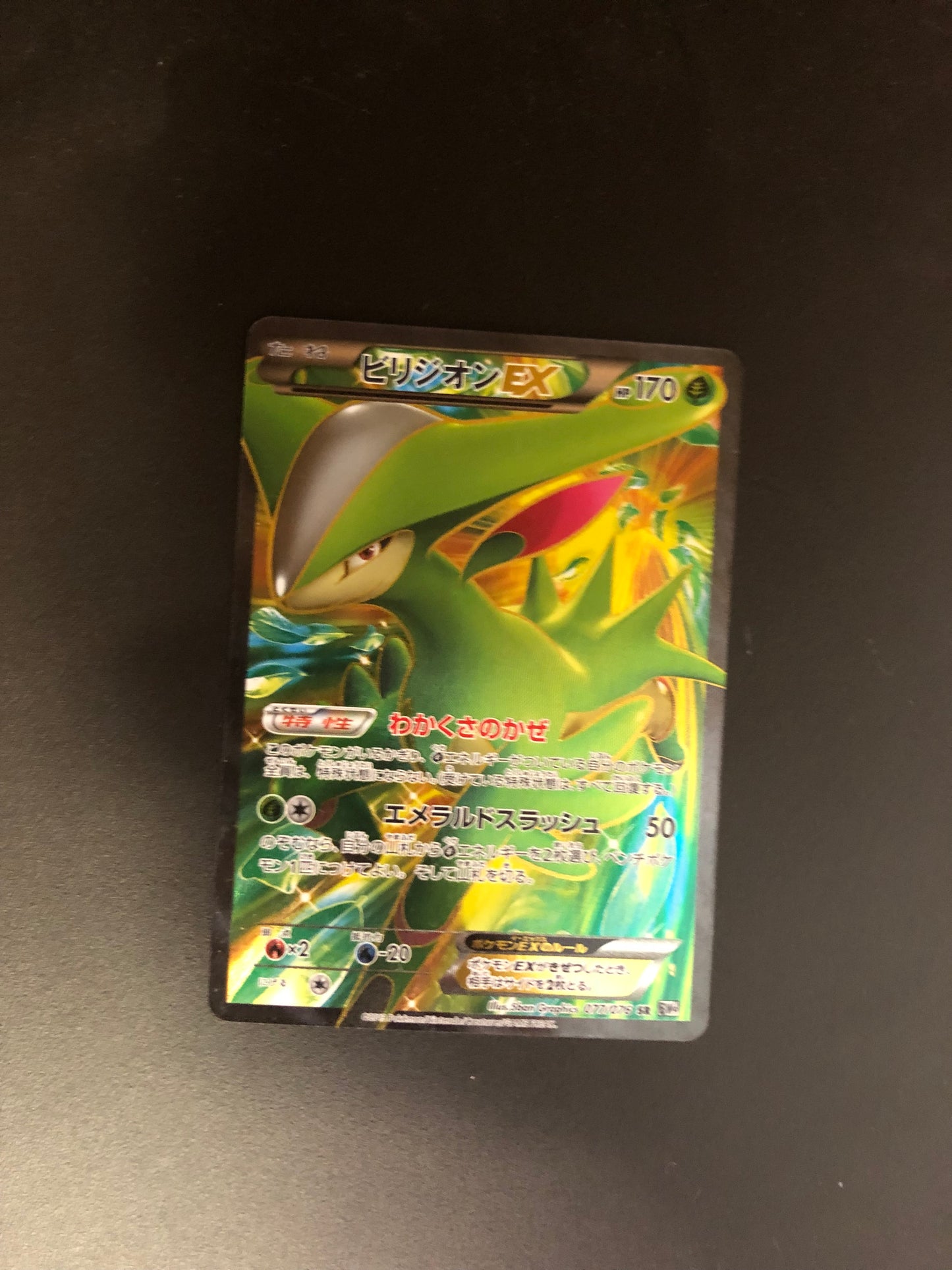 Pokemon Karte Ex Fullart Viridium 77/76 Japanisch