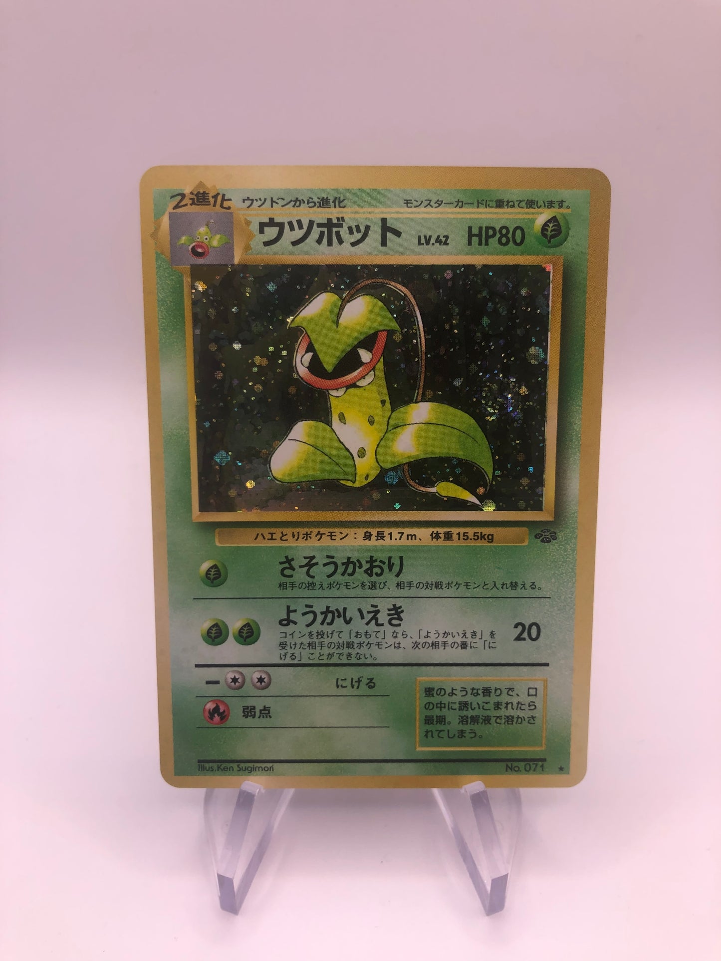 Pokemon Karte Holo Sarzenia No.71 Japanisch