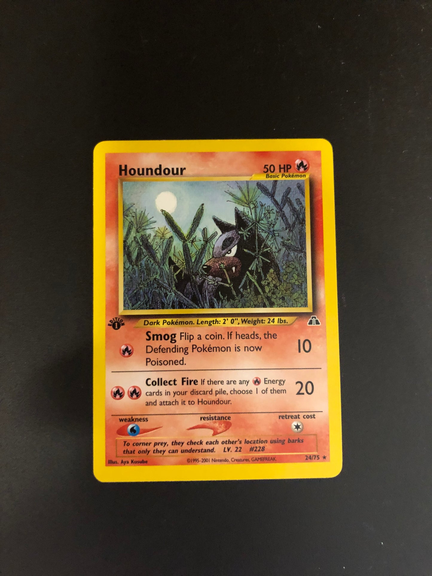 Pokemon Karte 1.Edition Hunduster 24/75 Englisch
