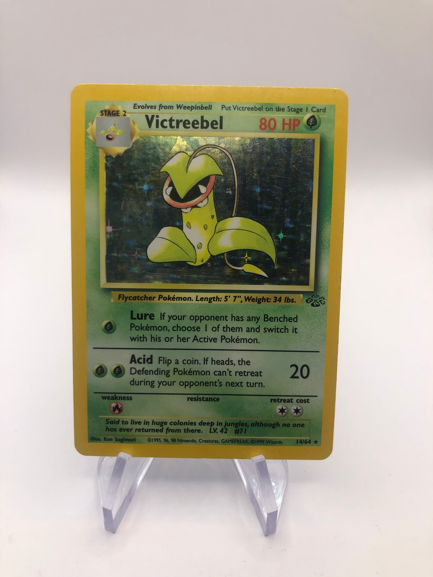 Pokemon Karten Holo Sarzenia 14/64 Englisch