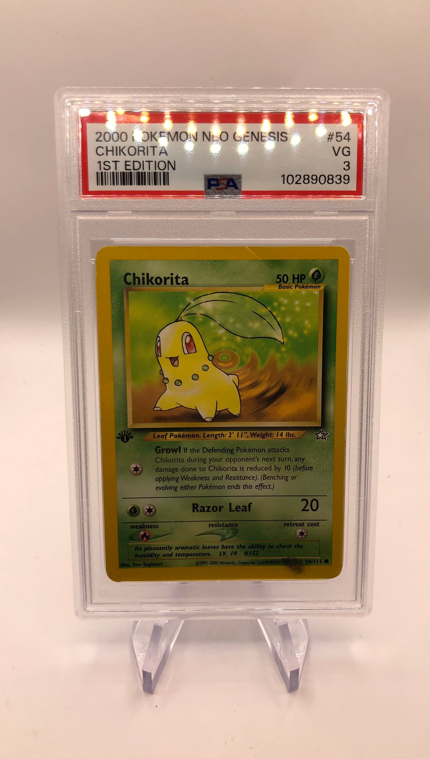 Pokemon Karte PSA 3 1.Edition Endivie 54/111 Englisch