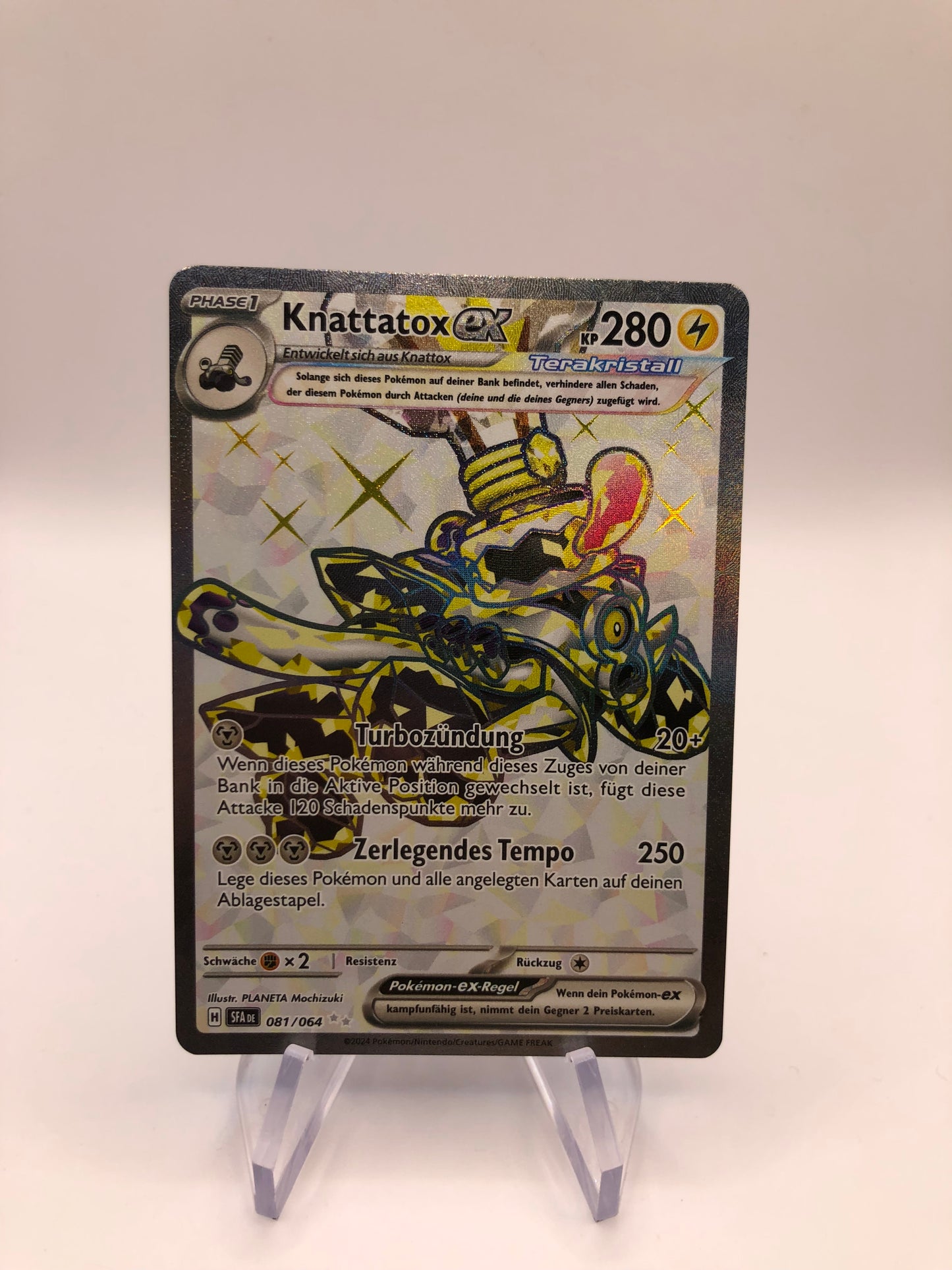 Pokemon Karte Ex Knattatox 81/64 Deutsch