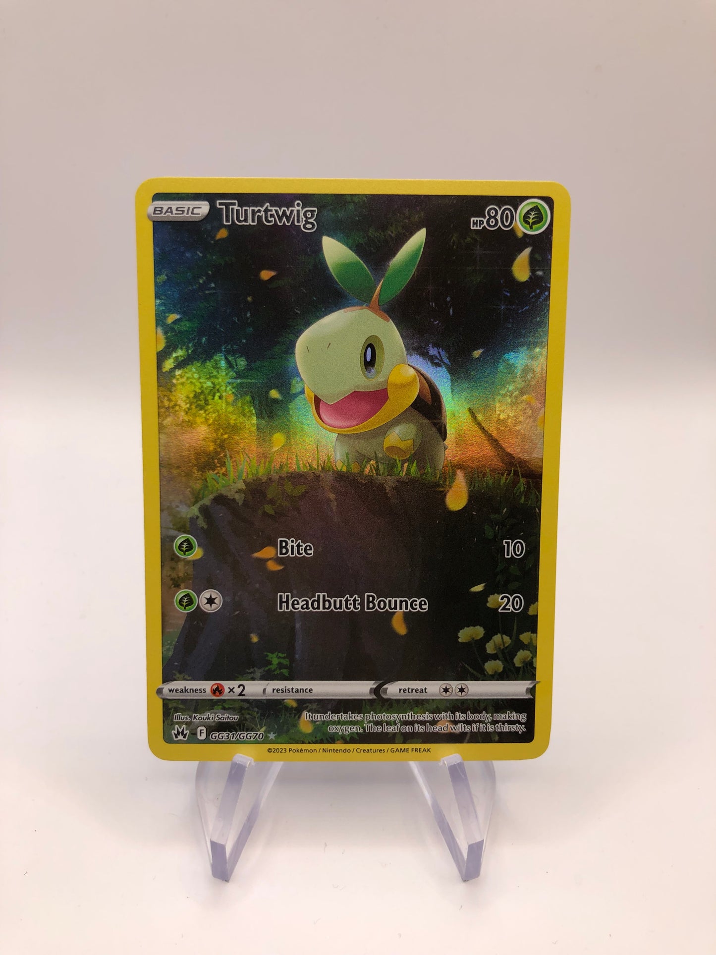 Pokemon Karte Art-Rare Turtwig TG31/TG70 Englisch