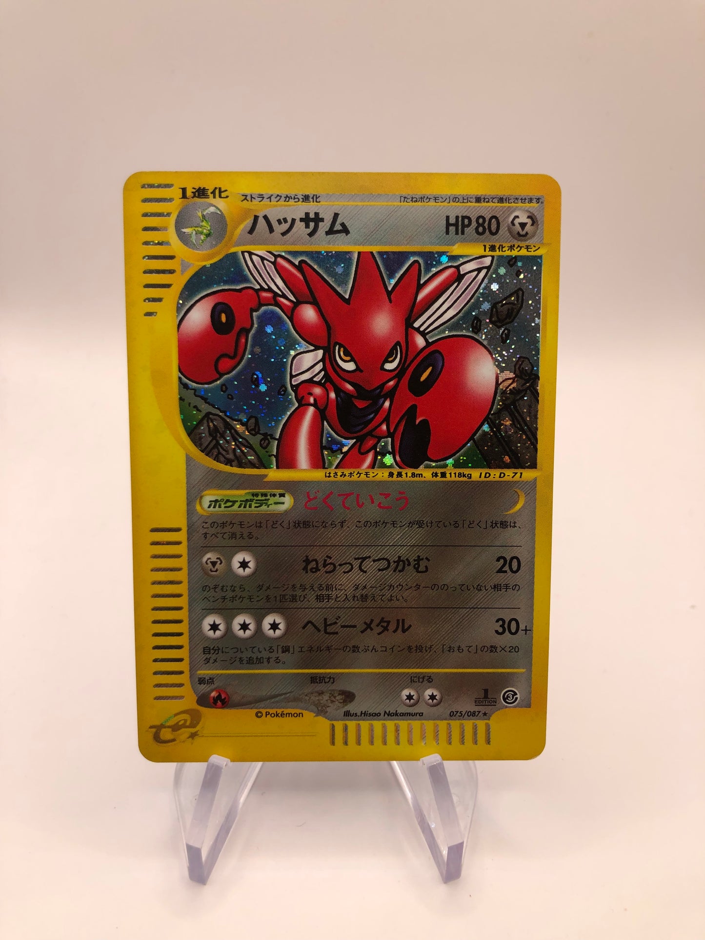 Pokemon Karte Ex Stolloss 95/100 Englisch
