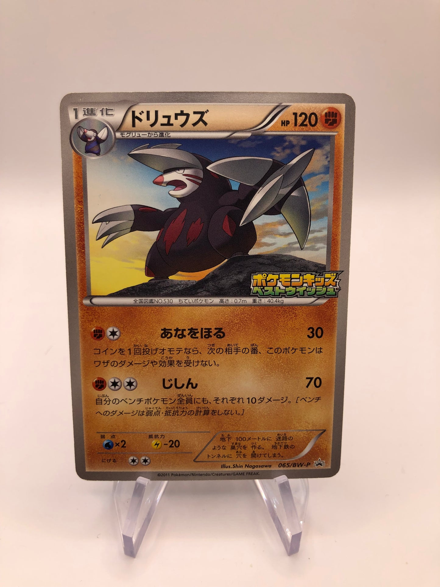 Pokemon Karte Stamp Stalobor 65/BW-P Japanisch