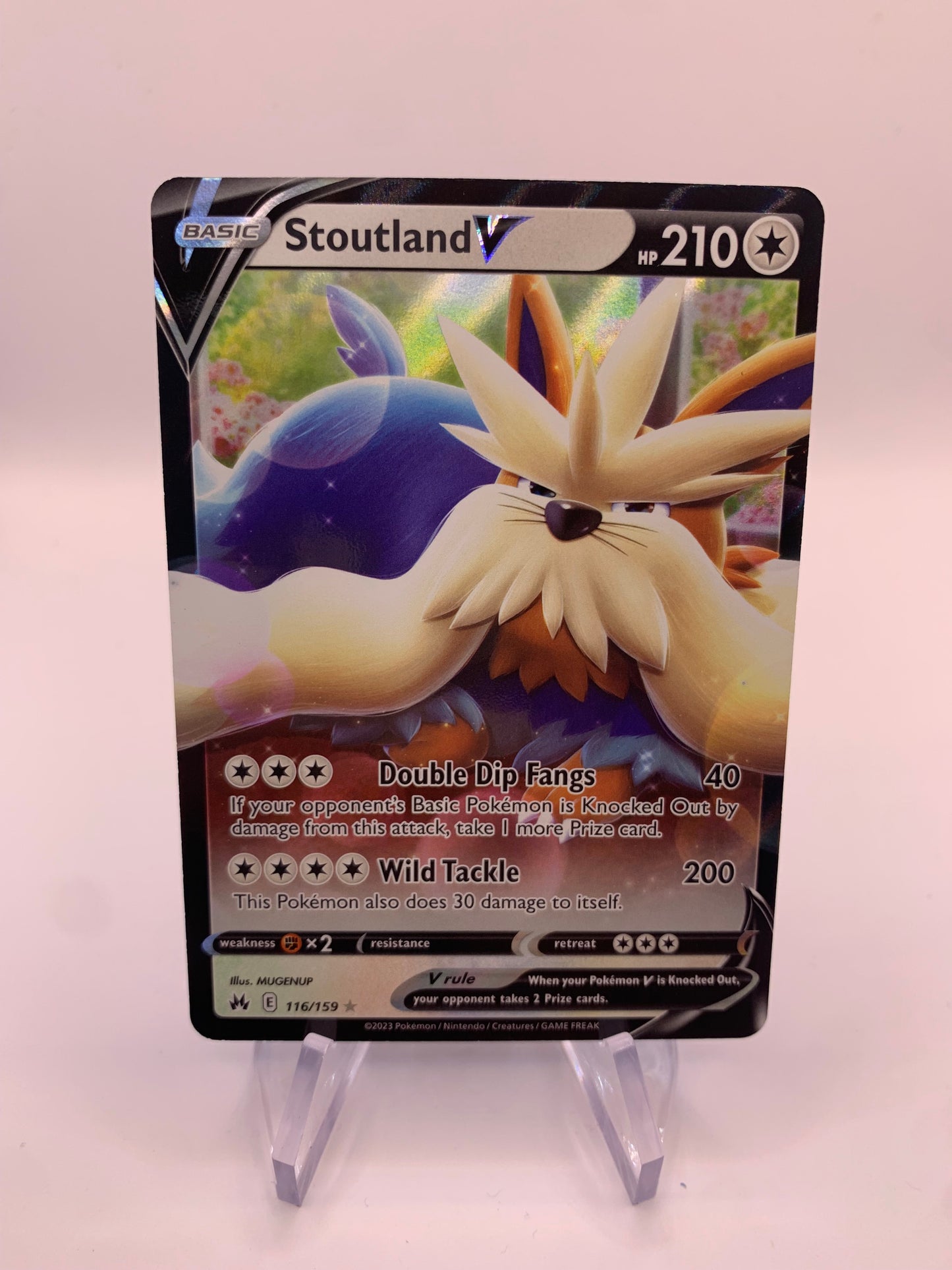 Pokemon Karte V Bissbark 116/159 Englisch