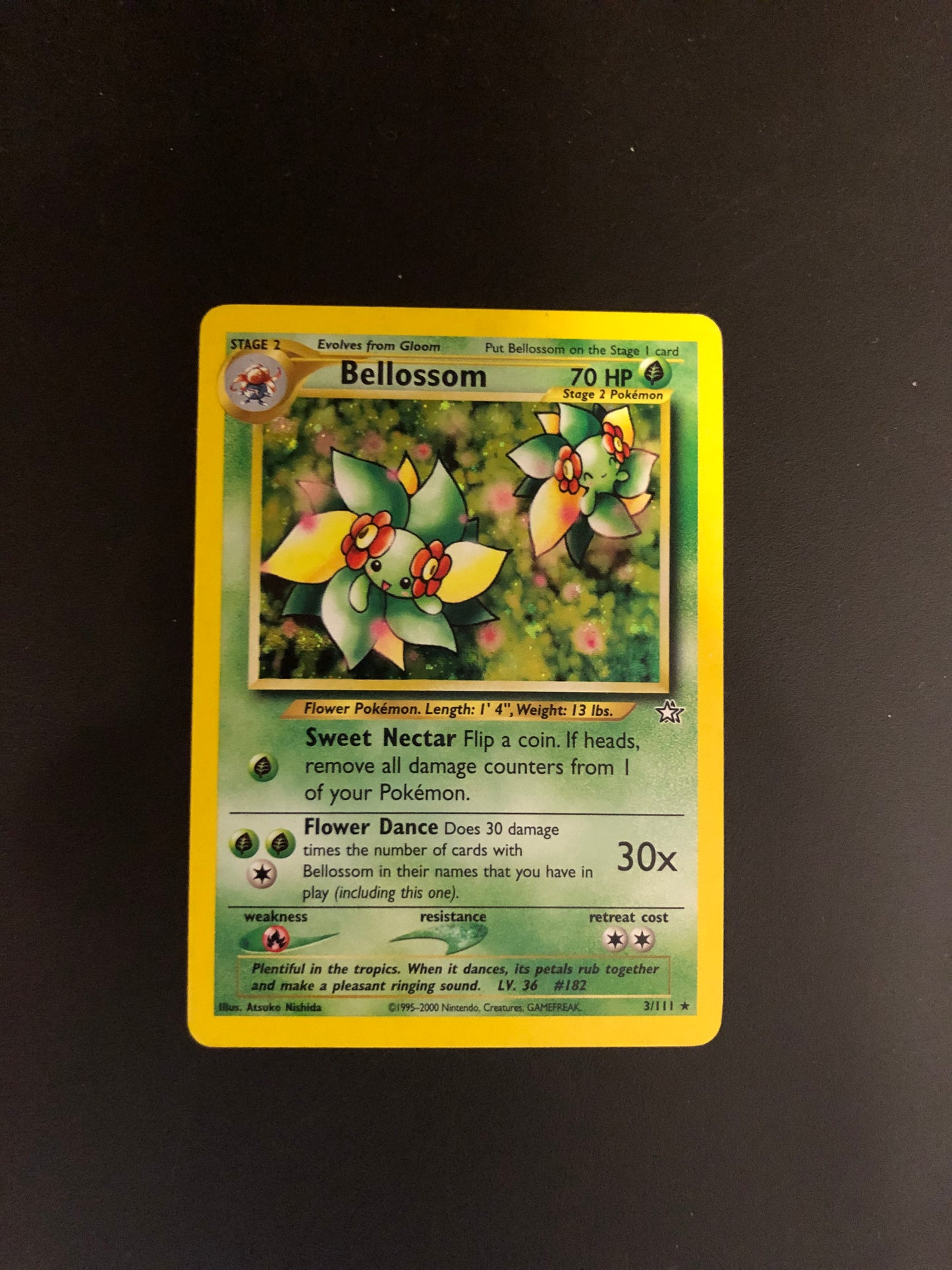 Pokemon Karte Holo Blubella 3/111 Englisch