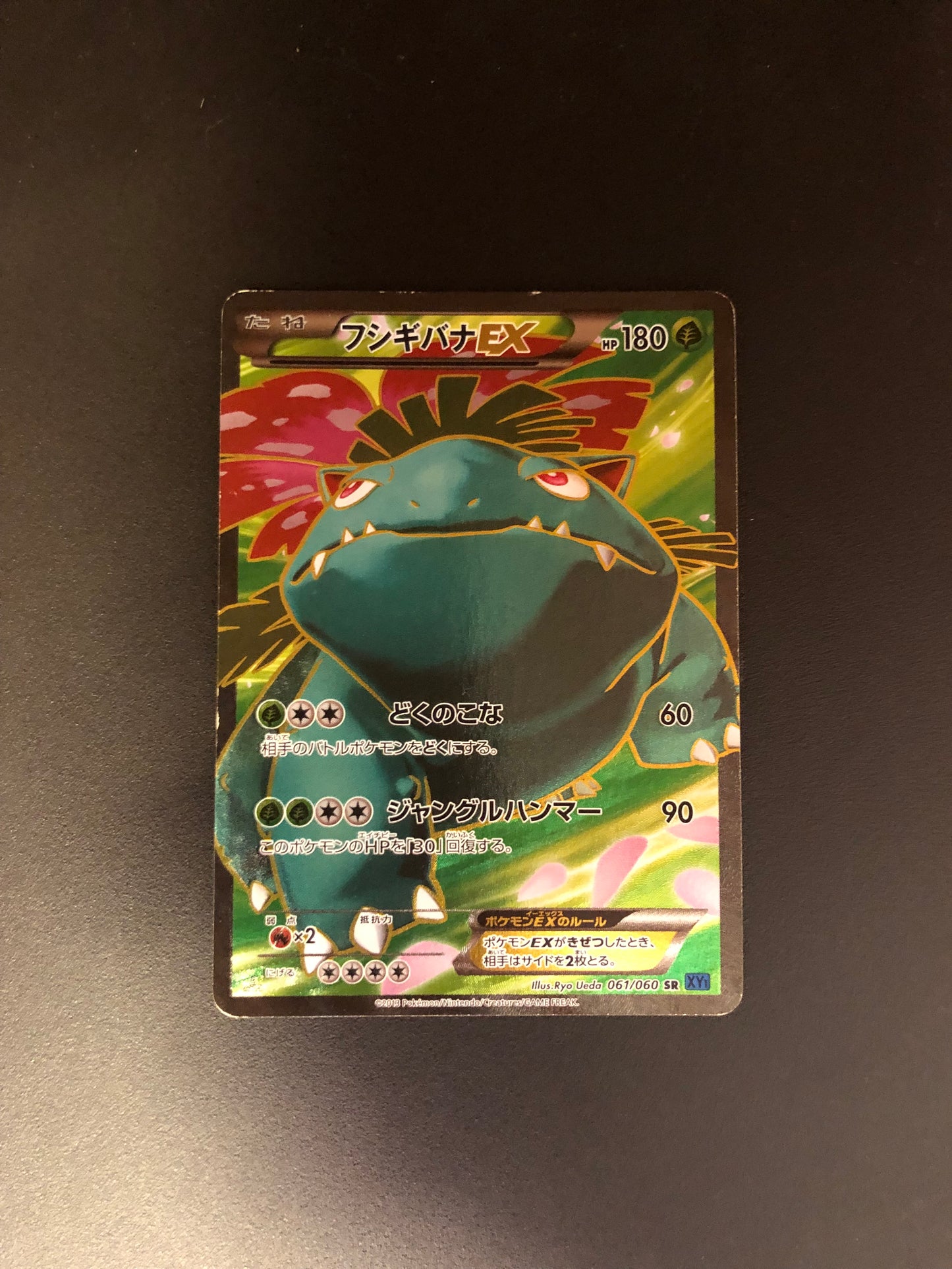 Pokemon Karten Ex Fullart Bisaflor 61/60 Japanisch