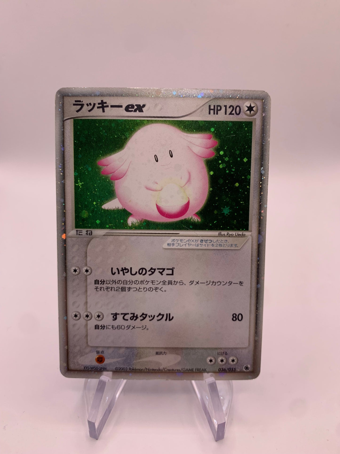 Pokemon Karte EX Chaneira 36/55 Japanisch