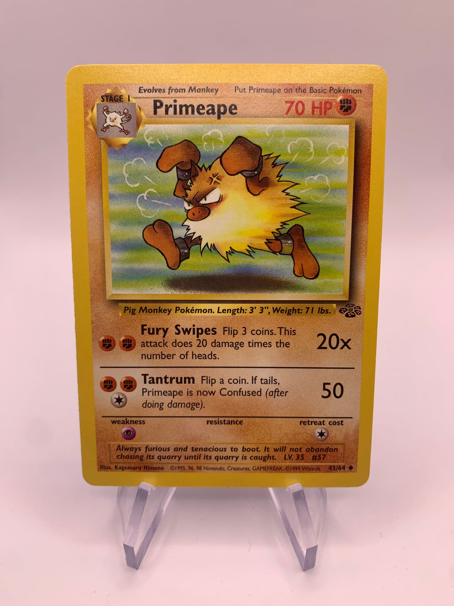 Pokemon Card Rasaff 43/64 Jungle English