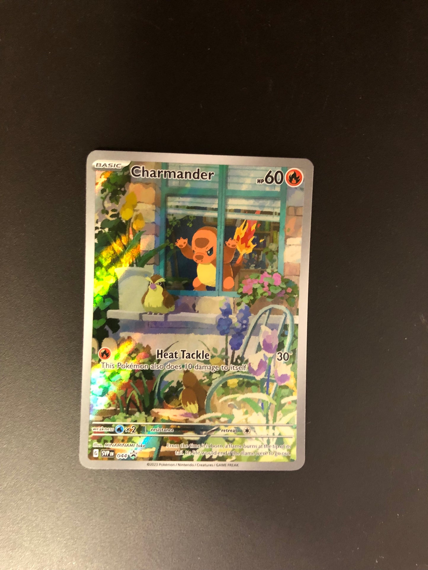 Pokemon Karten Art-Rare Glumanda 44 Englisch
