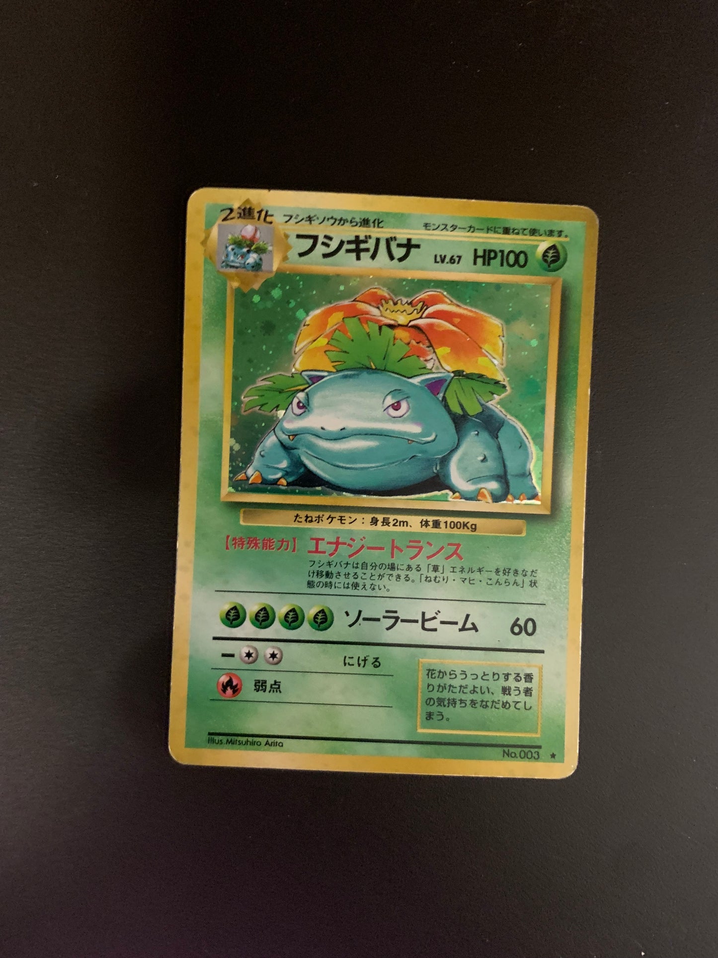 Pokemon Karte Holo Bisaflor No.003 Japanisch