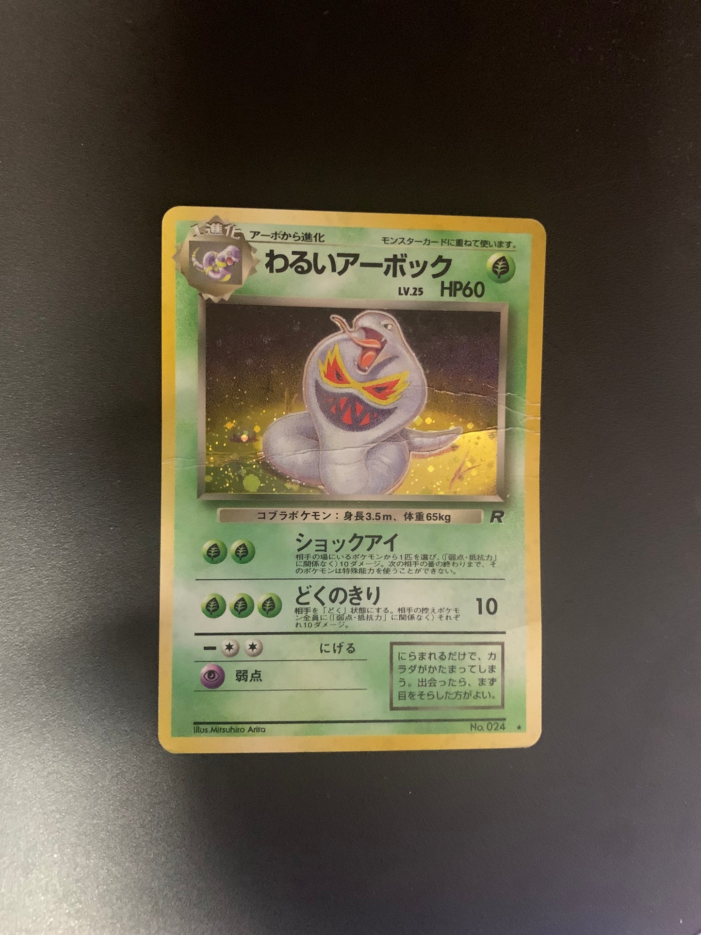 Pokemon Karte Holo Dunkles Arbok No.24 Japanisch