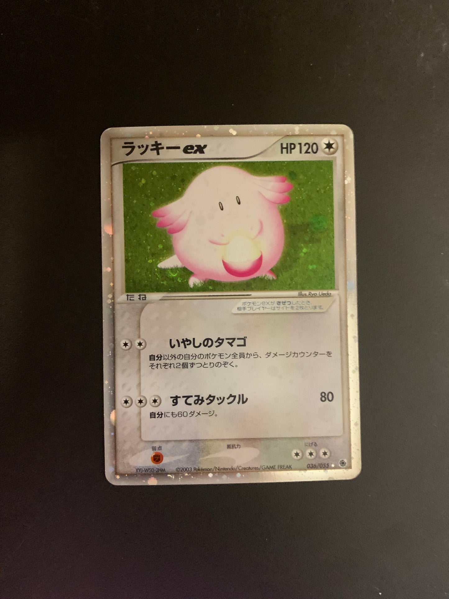 Pokemon Karte EX Holo Chaneira 36/55 Japanisch