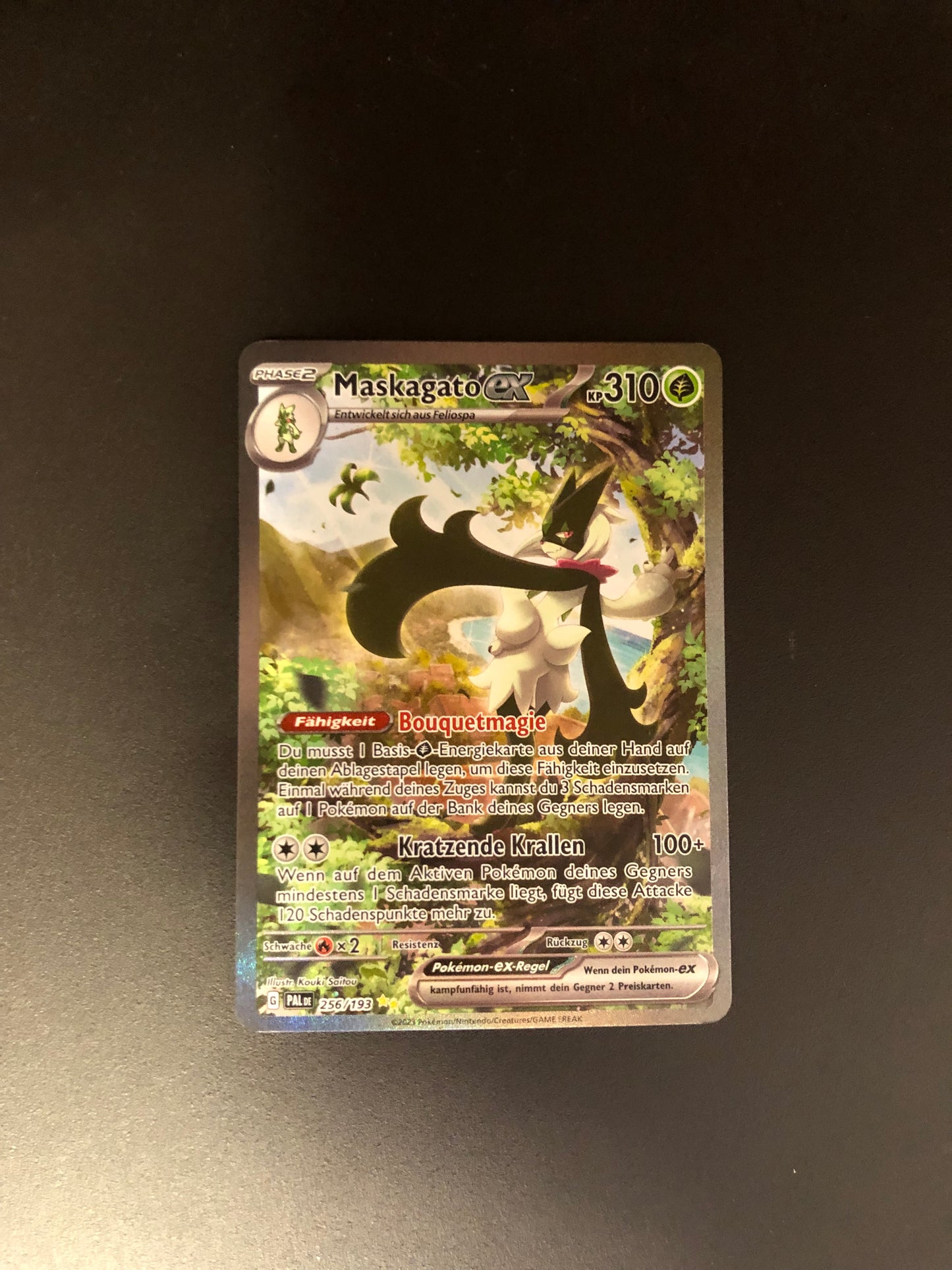 Pokemon Karten Ex Alt-Art Maskagato 256/193 Deutsch