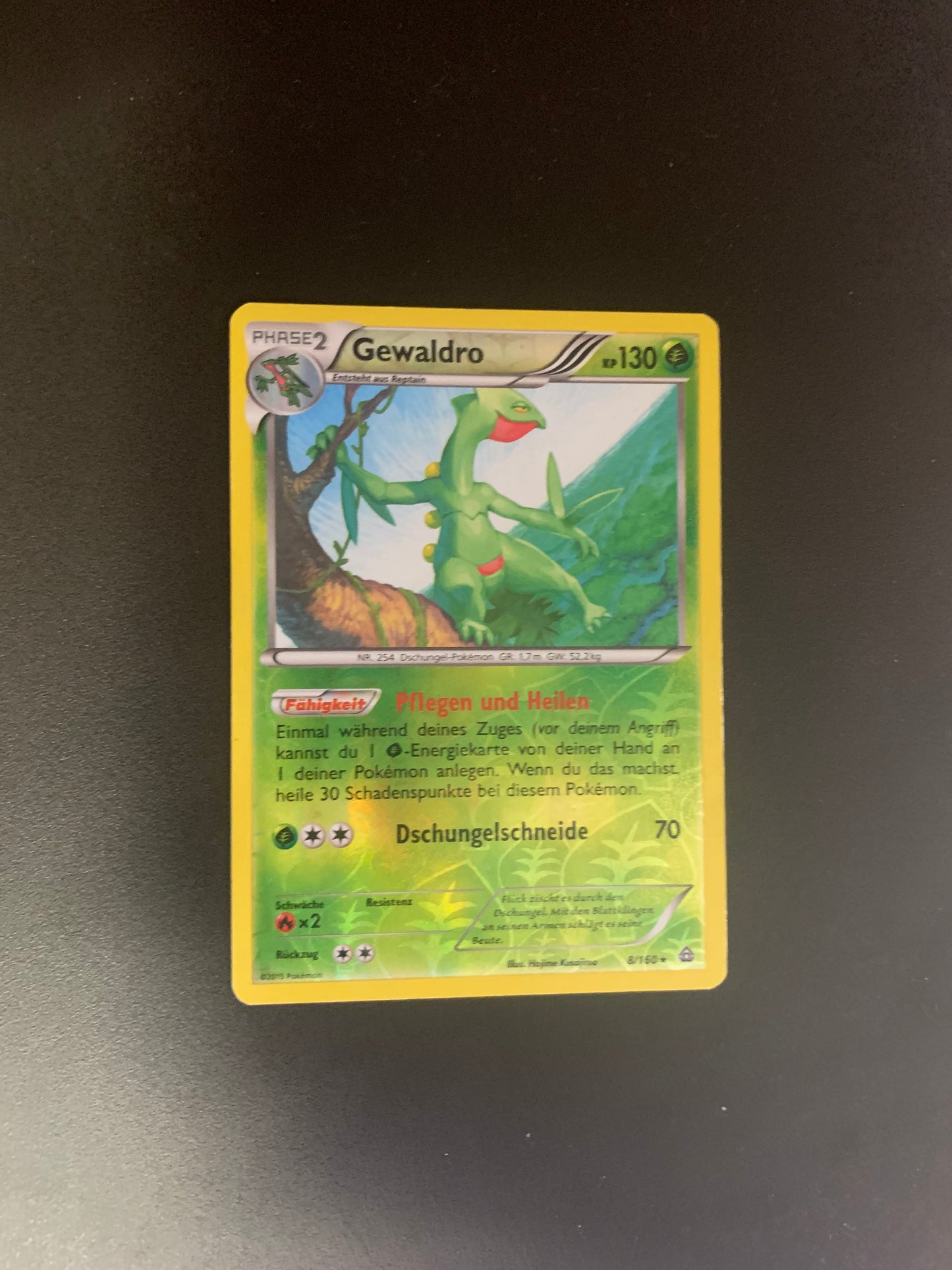 Pokemon Karte Reverse Gewaldro 8/160 Deutsch