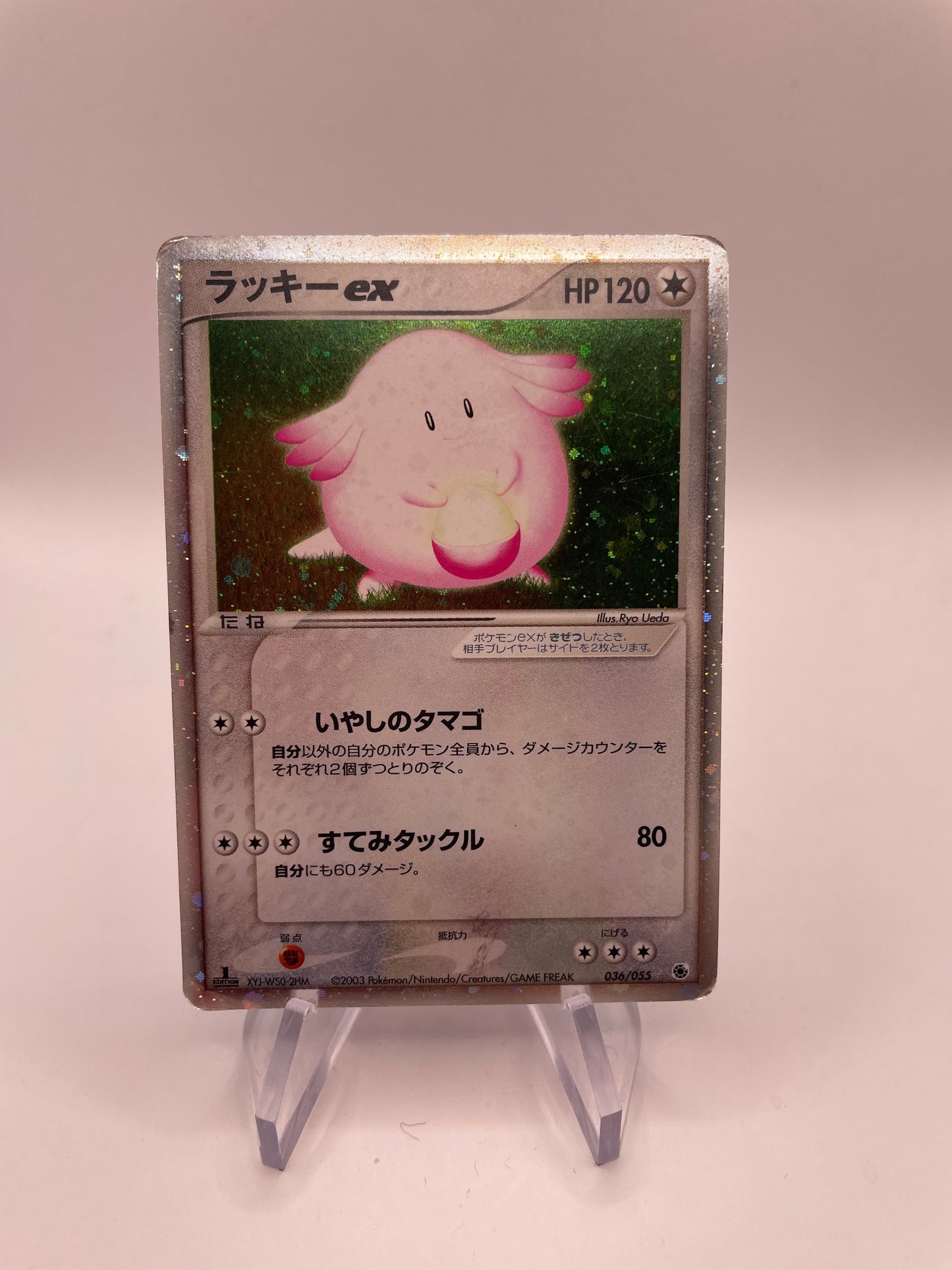 Pokemon Karte ex Chaineira 36/55 Japanisch