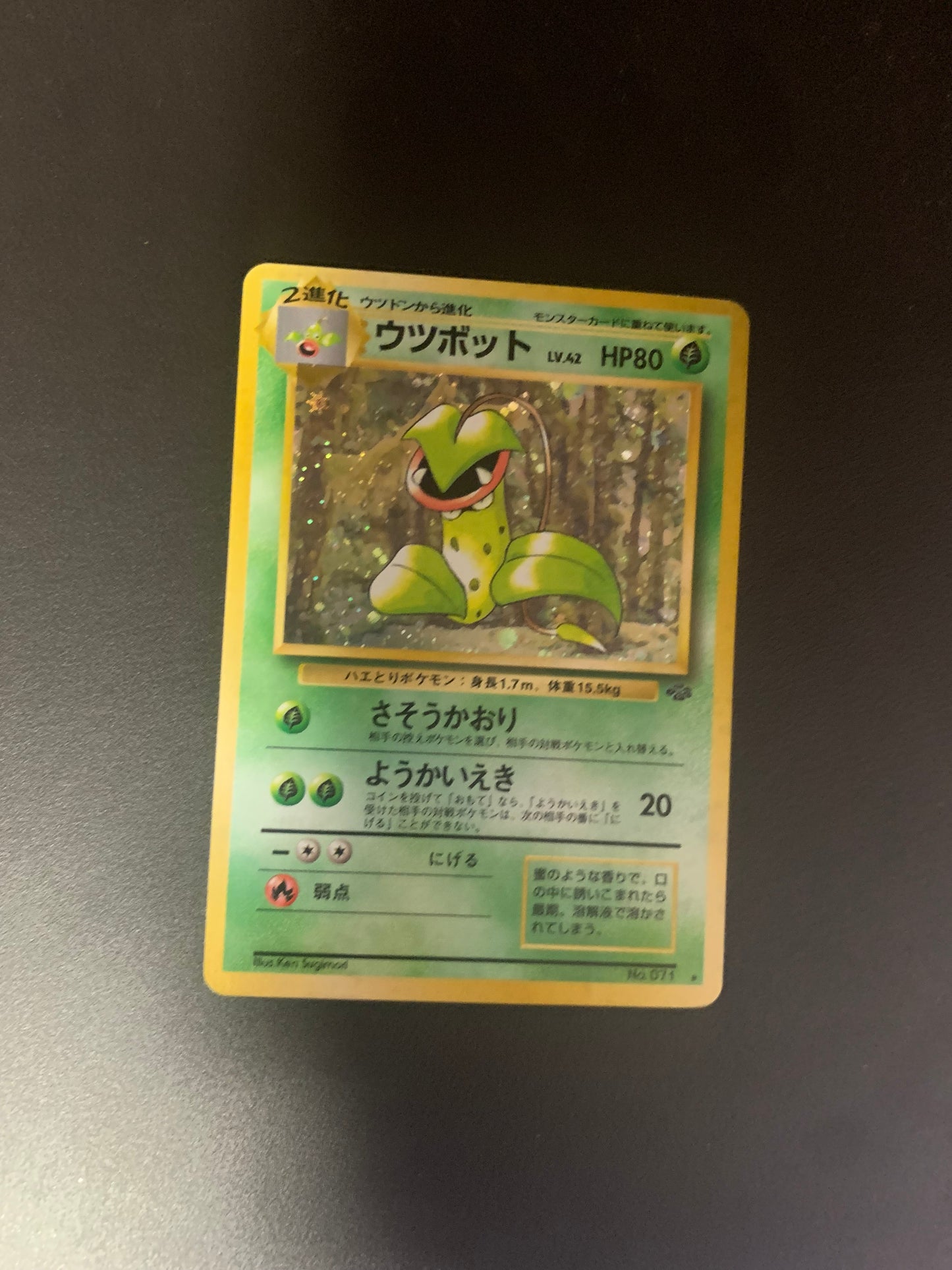 Pokemon Karte Holo Sarzenia No.71 Japanisch