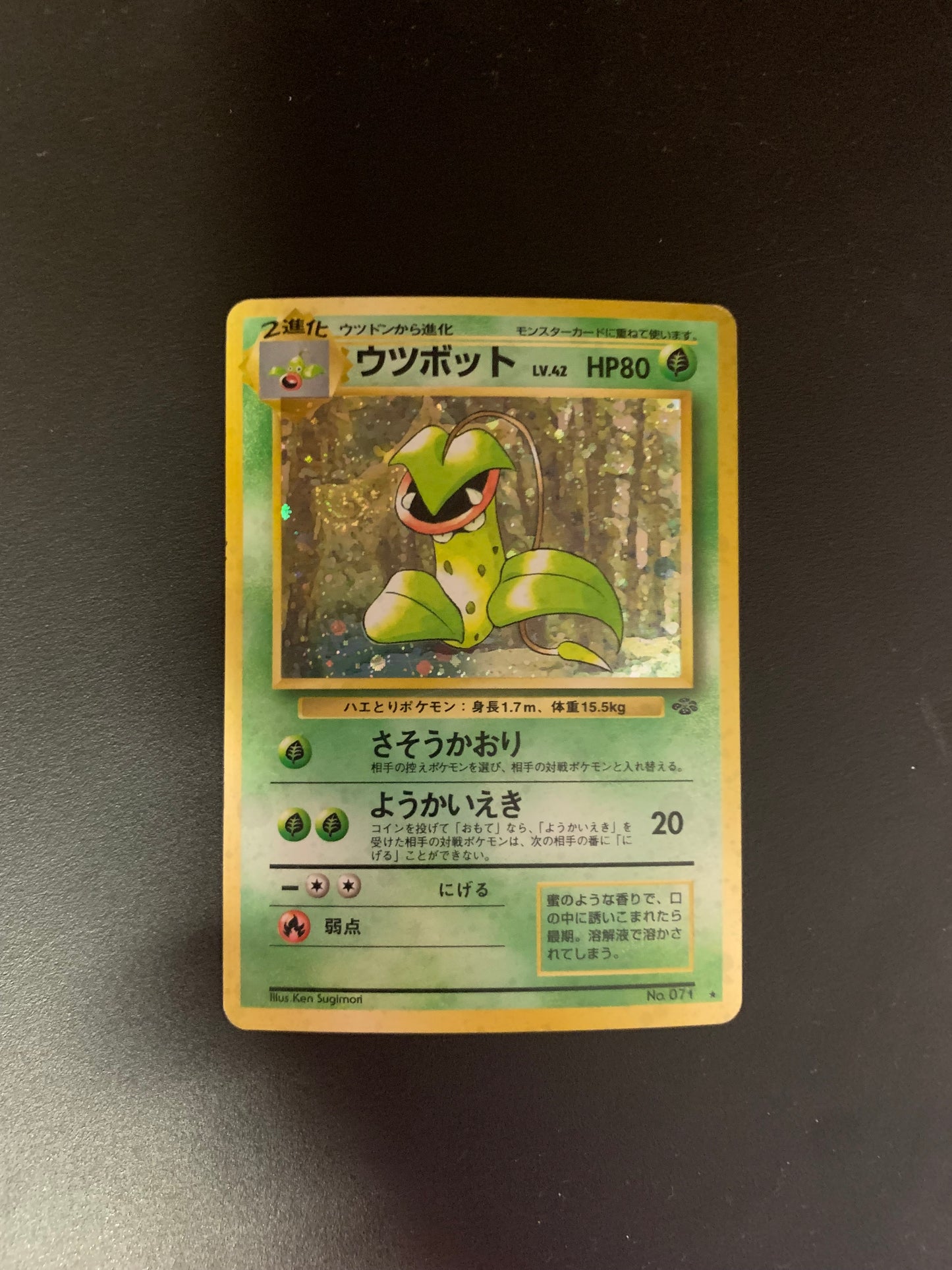 Pokemon Karte Holo Sarzenia No.71 Japanisch