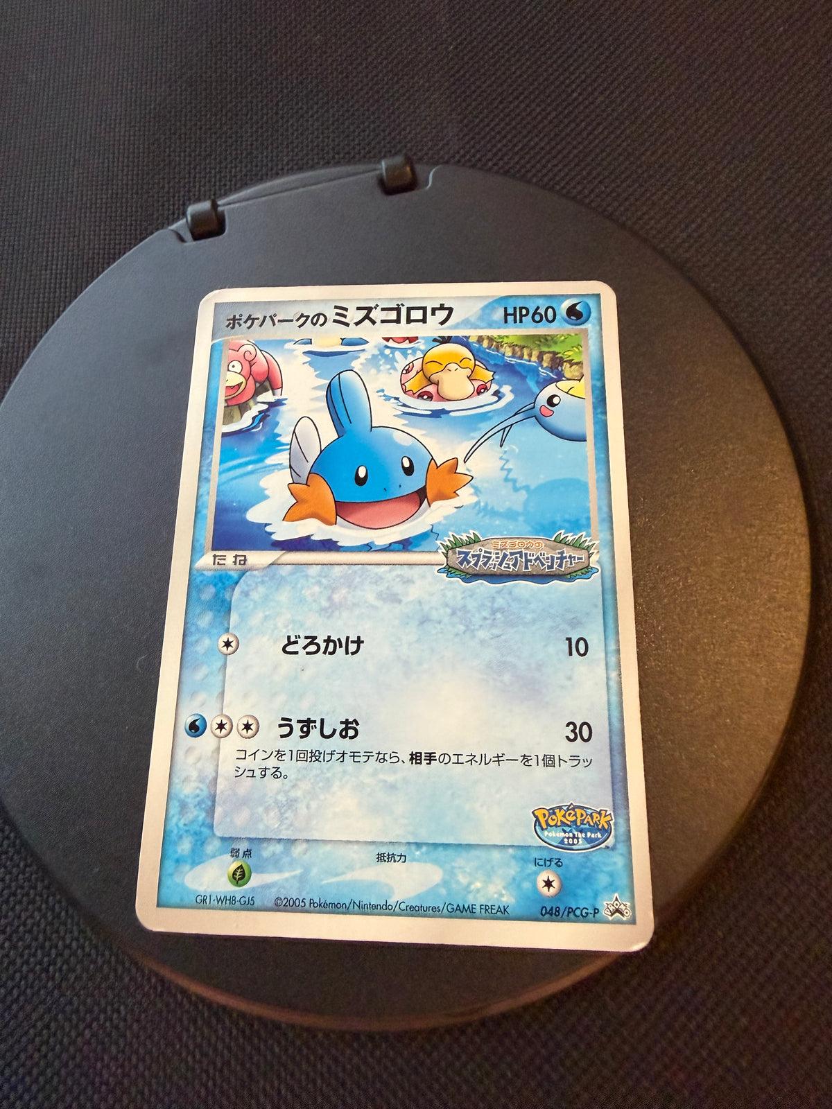 Pokemon Karte PokePark Hydopi 048/PCG-P Japanisch