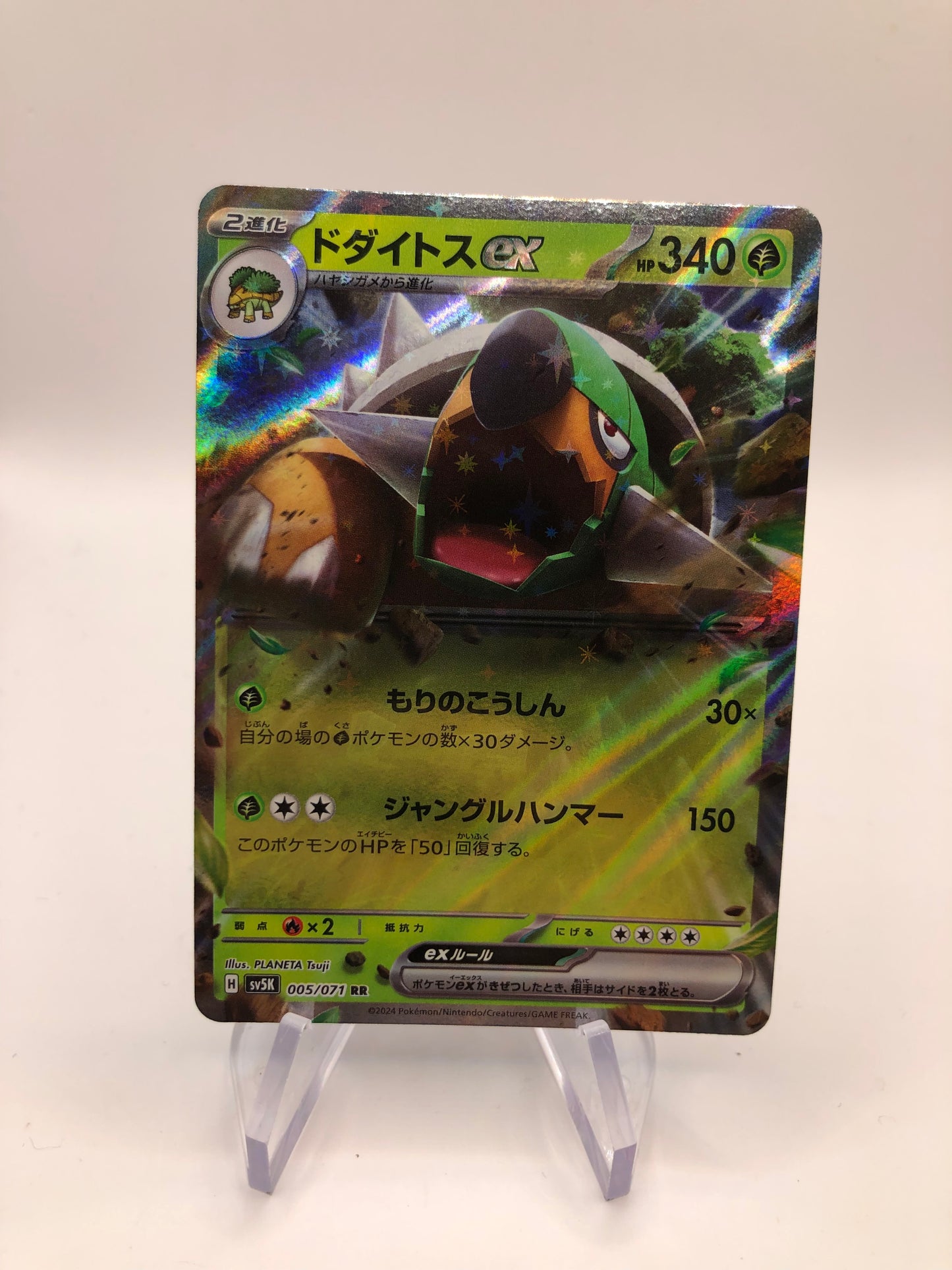 Pokemon Karte Ex Chelterrar 5/71 Japanisch