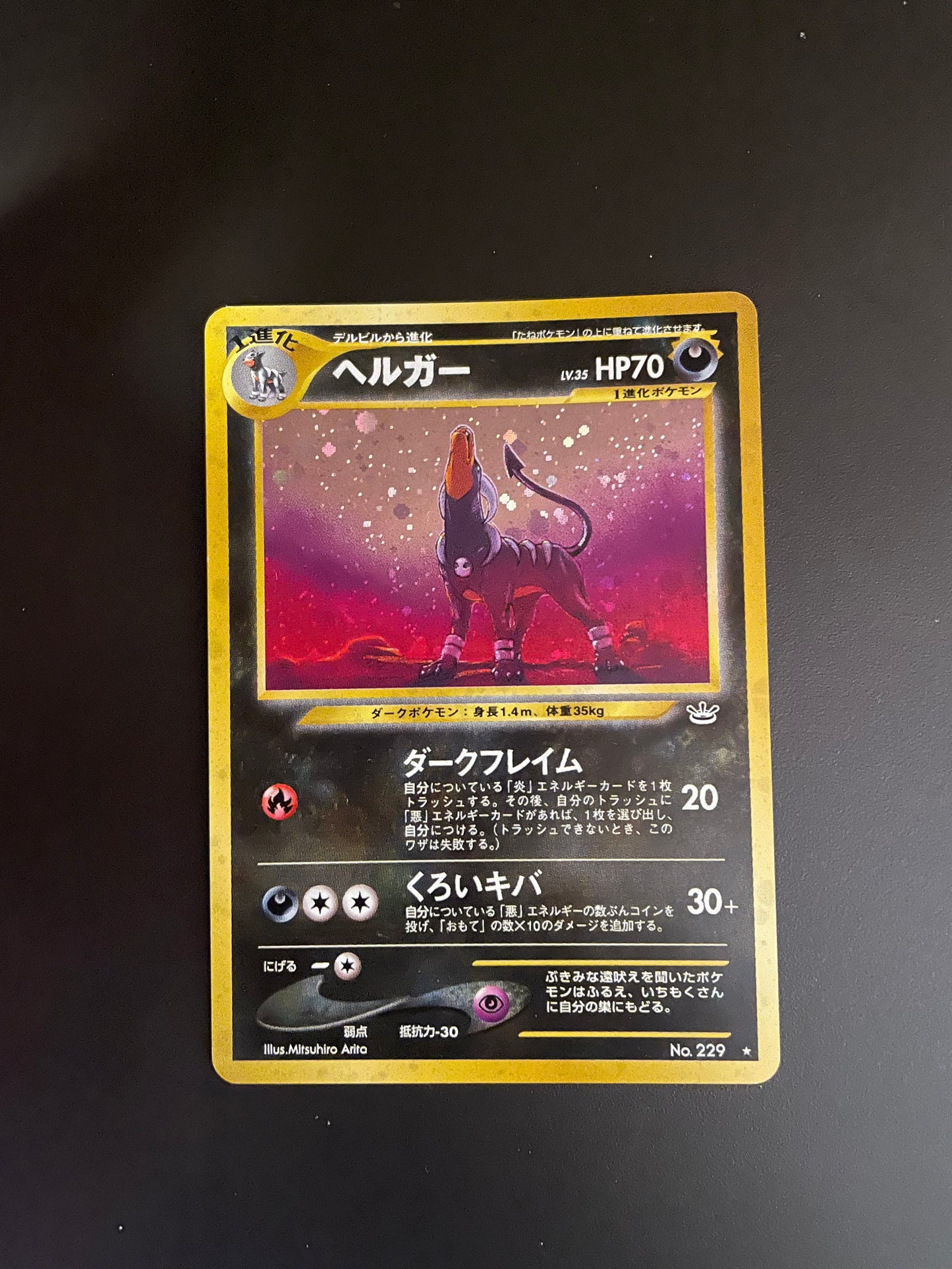 Pokemon Karte Holo Hundemon No.229 Japanisch