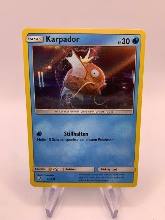 Pokémon Karte Holo Karpador 8/18 deutsch