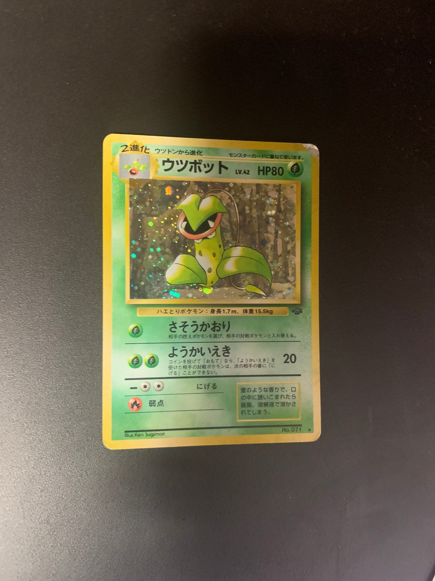 Pokemon Karte Holo Sarzenia No.71 Japanisch