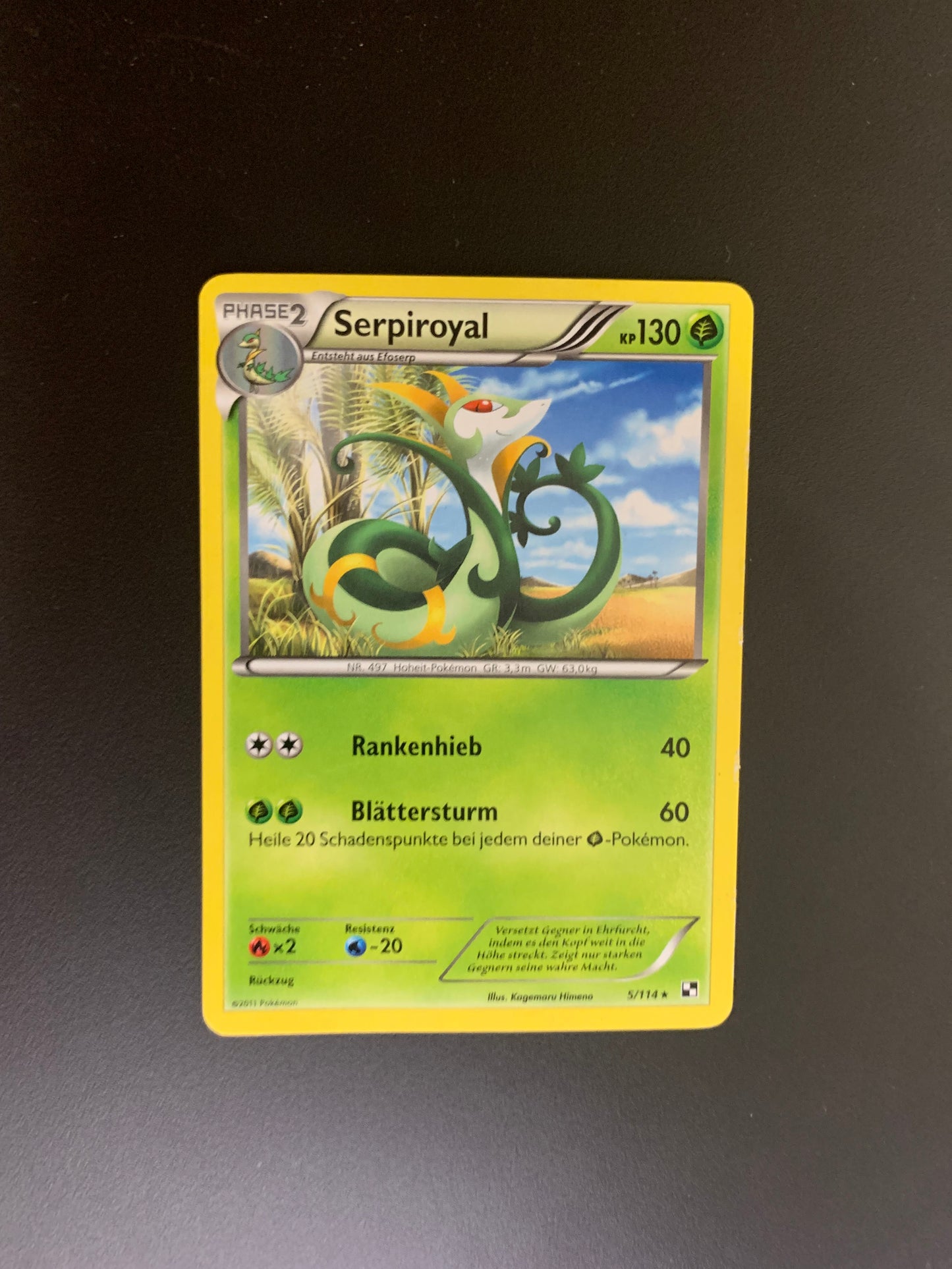 Pokemon Karte Serpiroyal 5/114 Deutsch