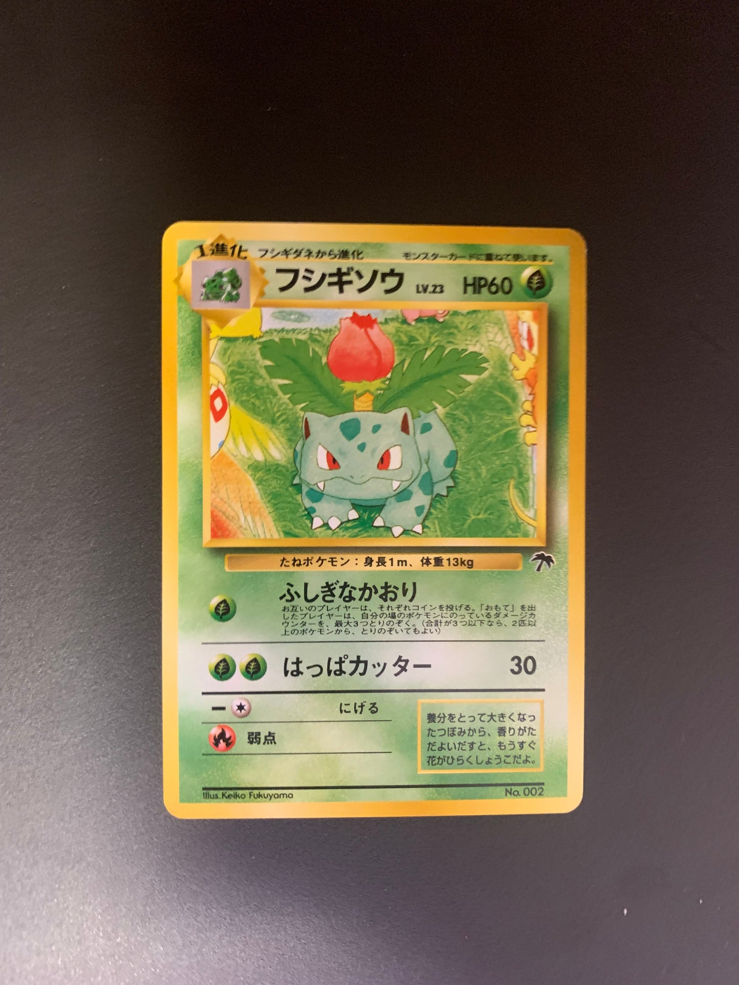 Pokemon Karte Southern Island Bisaknosp No.2 Japanisch