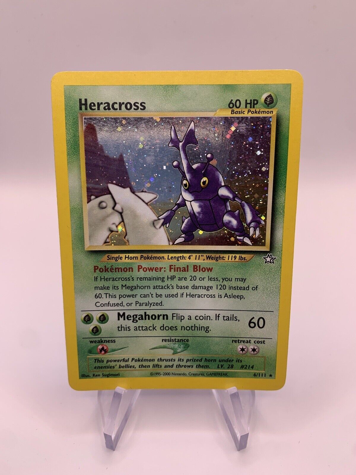 Pokemon Karte Holo Skaraborn 6/111 Englisch