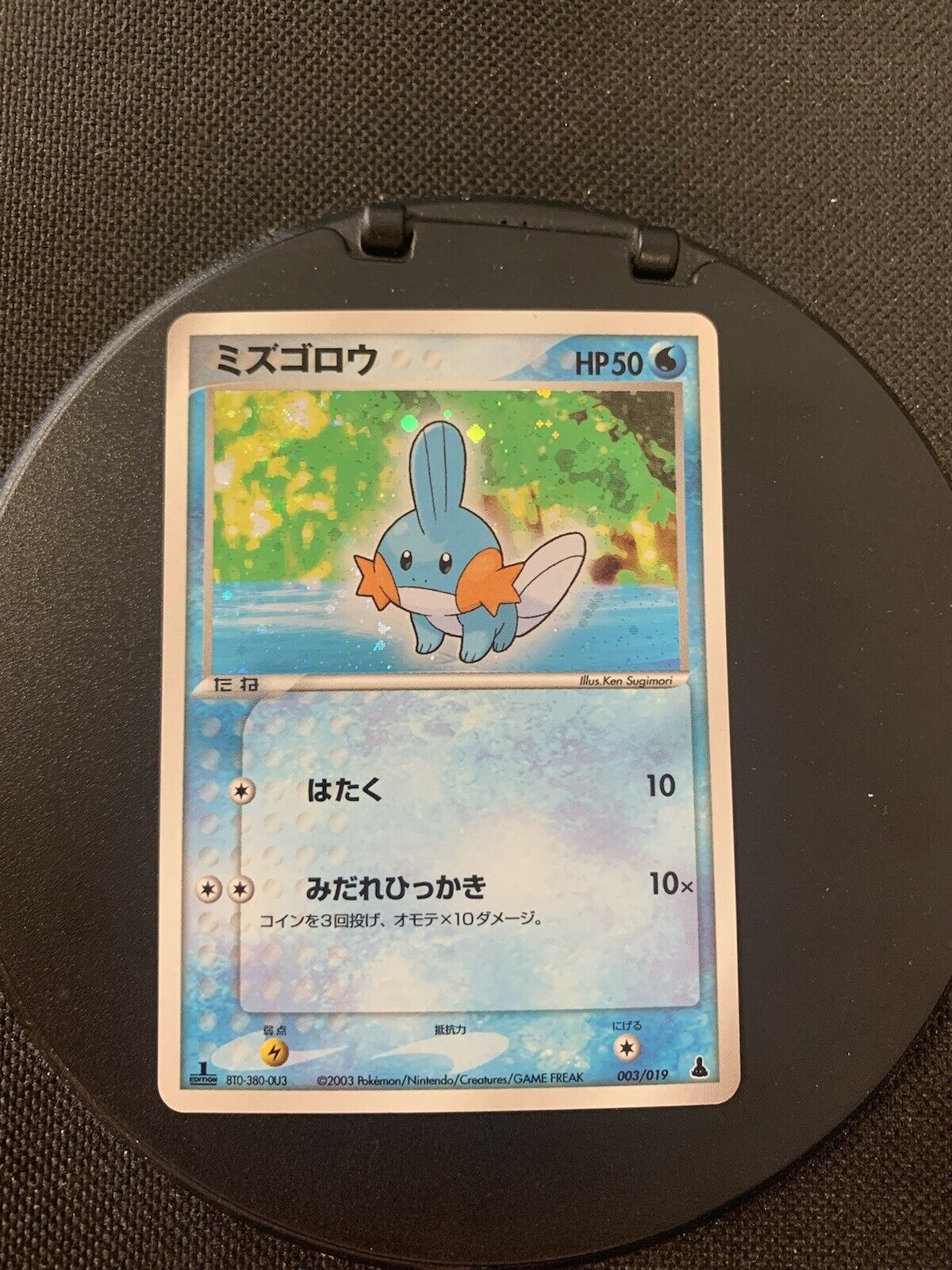 Pokmon Karte Holo Hydrobi 319 Japanisch