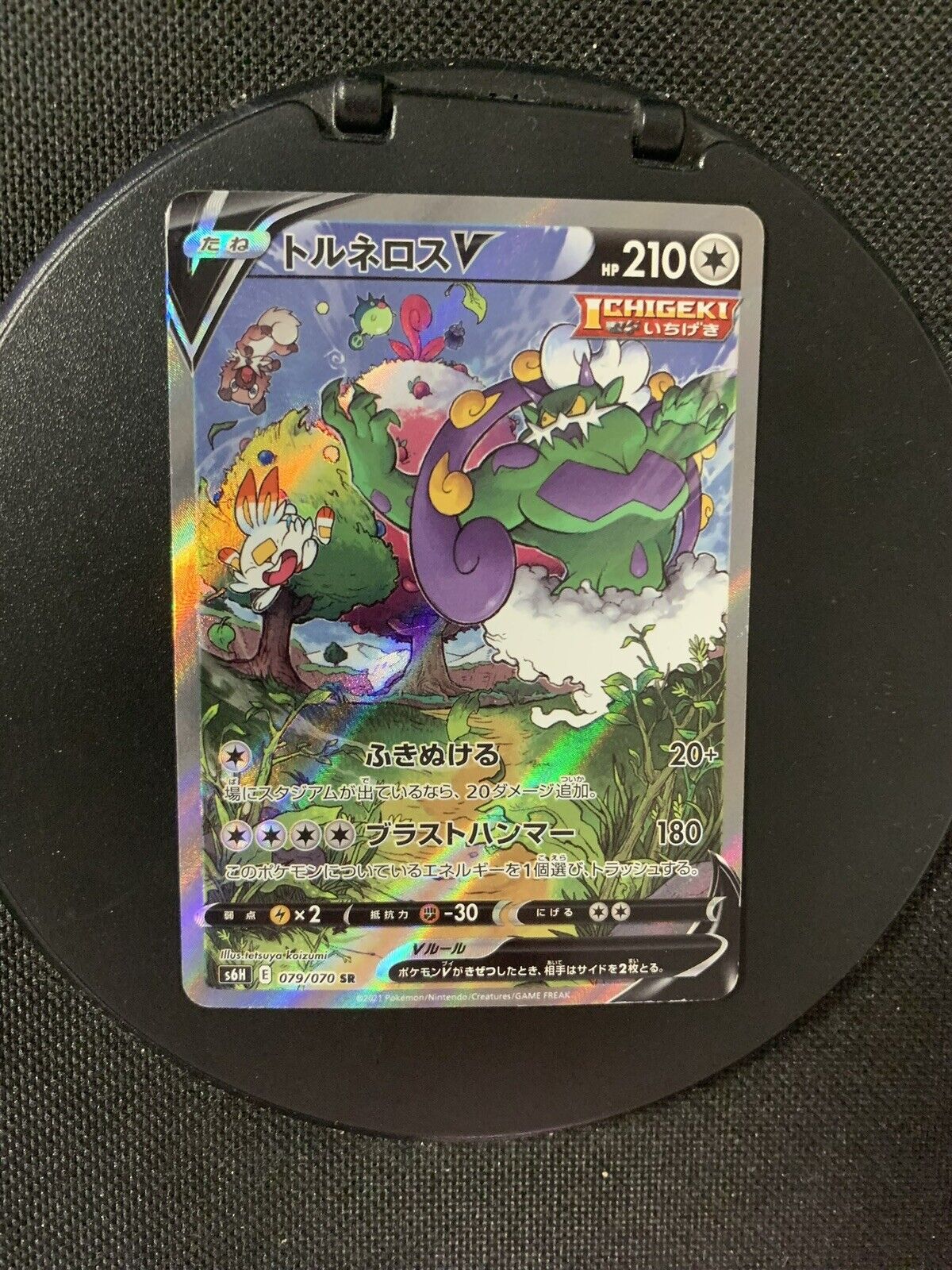 Pokemon Karte V Alt-Art Boreos 79/70 Japanisch