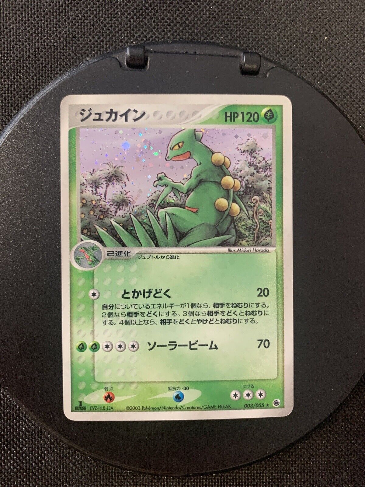 Pokmon Card Holo Gewaldro 3/55 Japanese