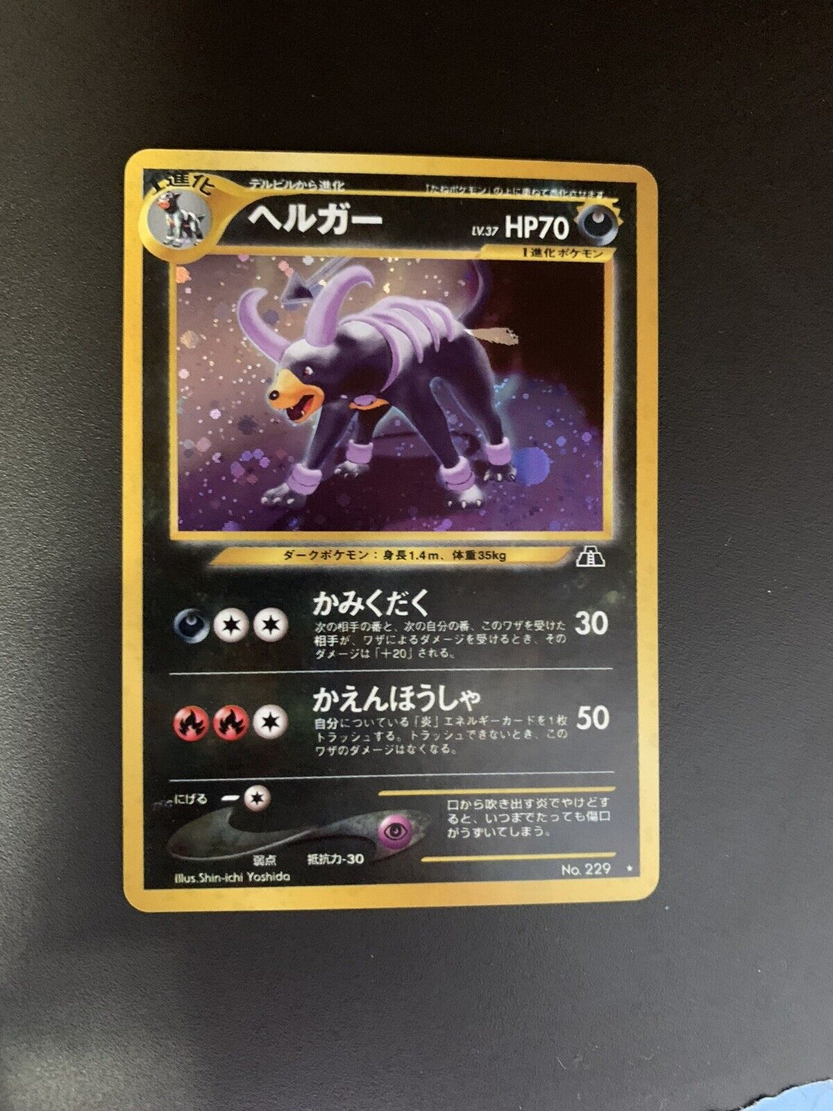 Pokemon Karte Holo Hundemon No.229 Japanisch