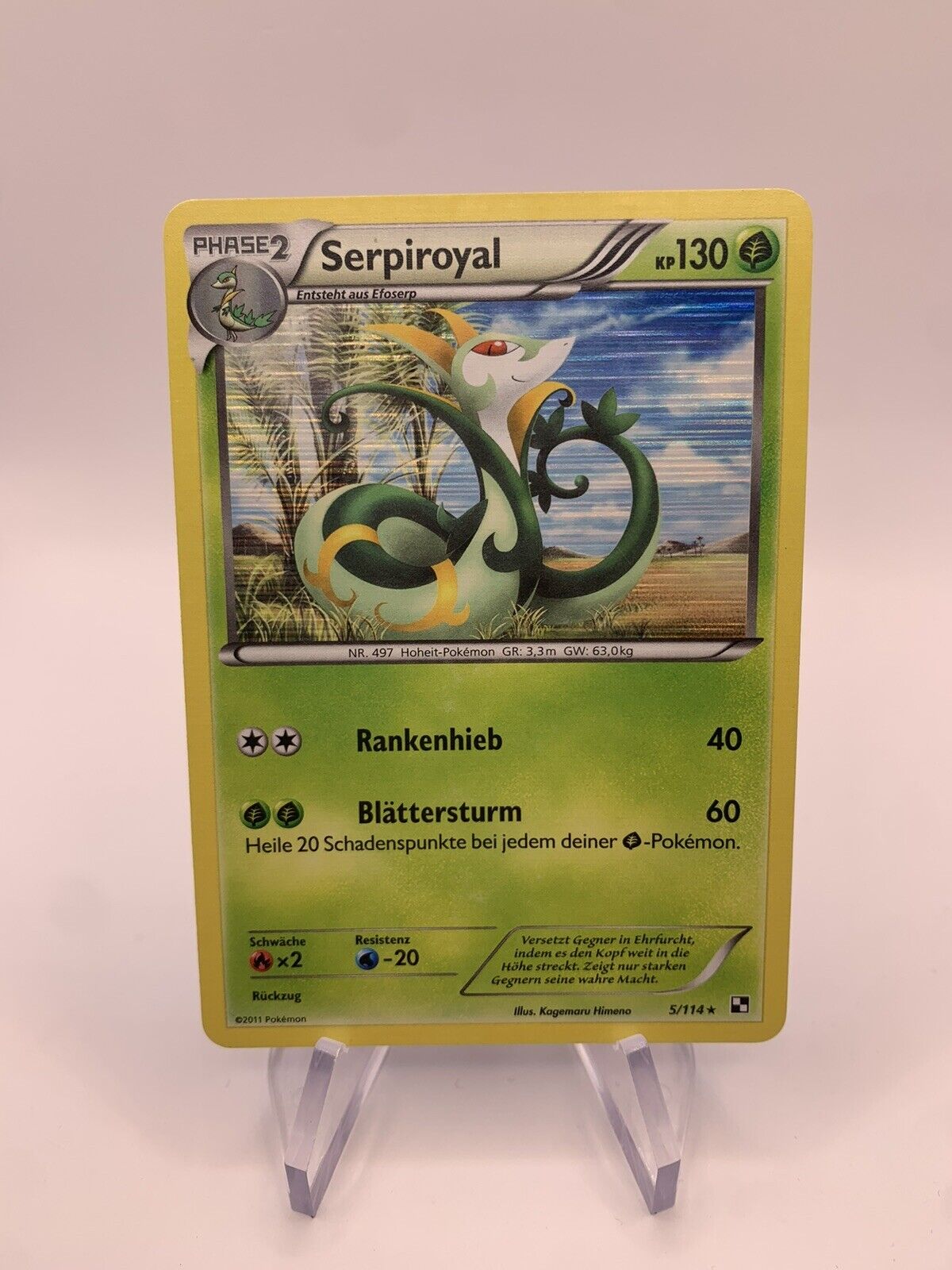 Pokemon Card Holo Serpiroyal 5114 German