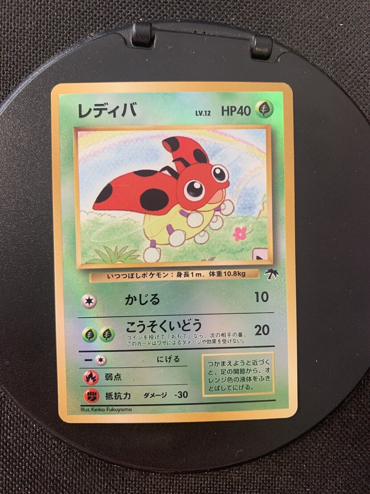 Pokemon Card Lapel Holo Promo Southern Island Ledyba Lv12 Japanese