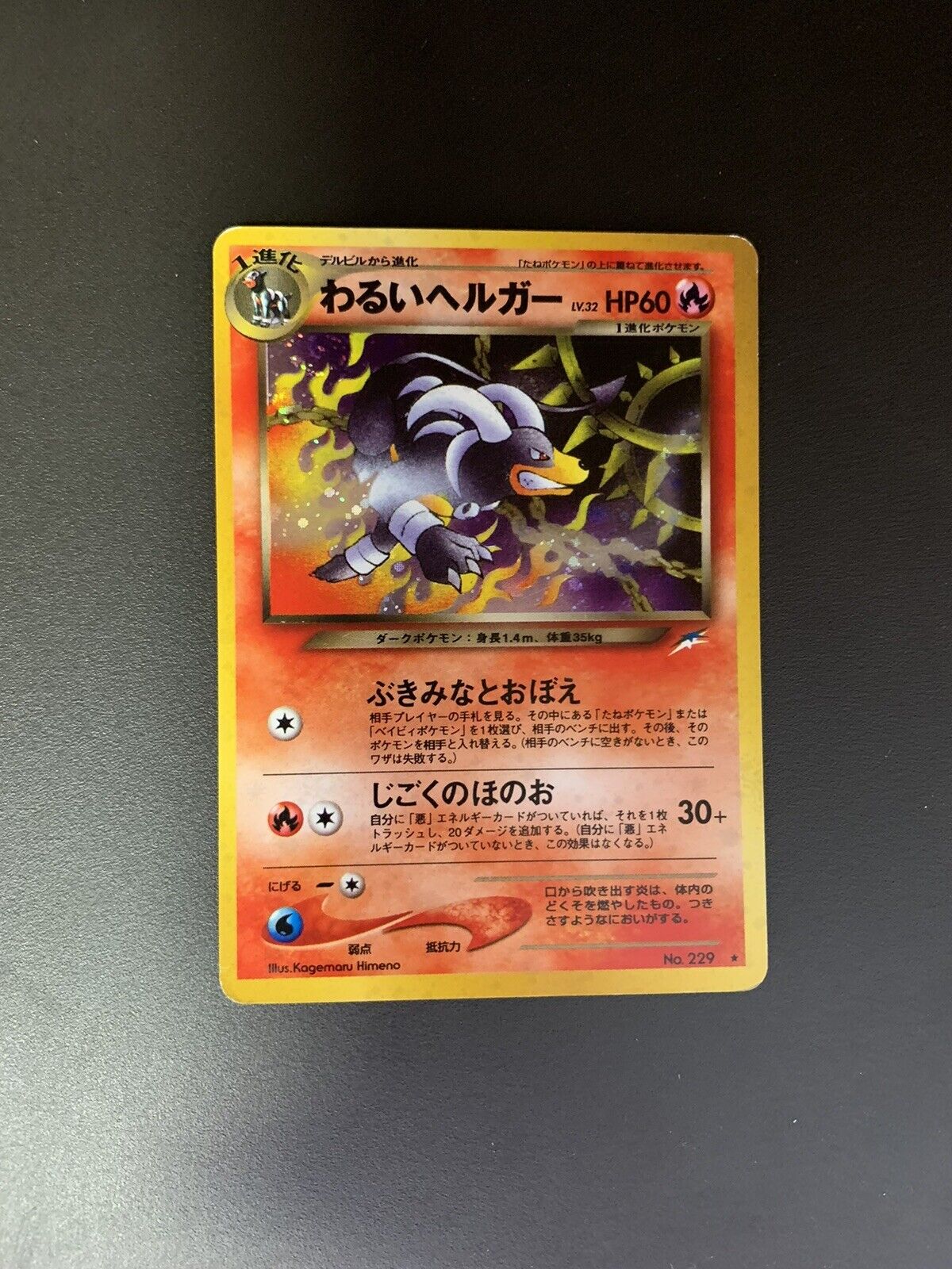 Pokemon Karte Holo Dunkles Hundemon No.229 Japanisch