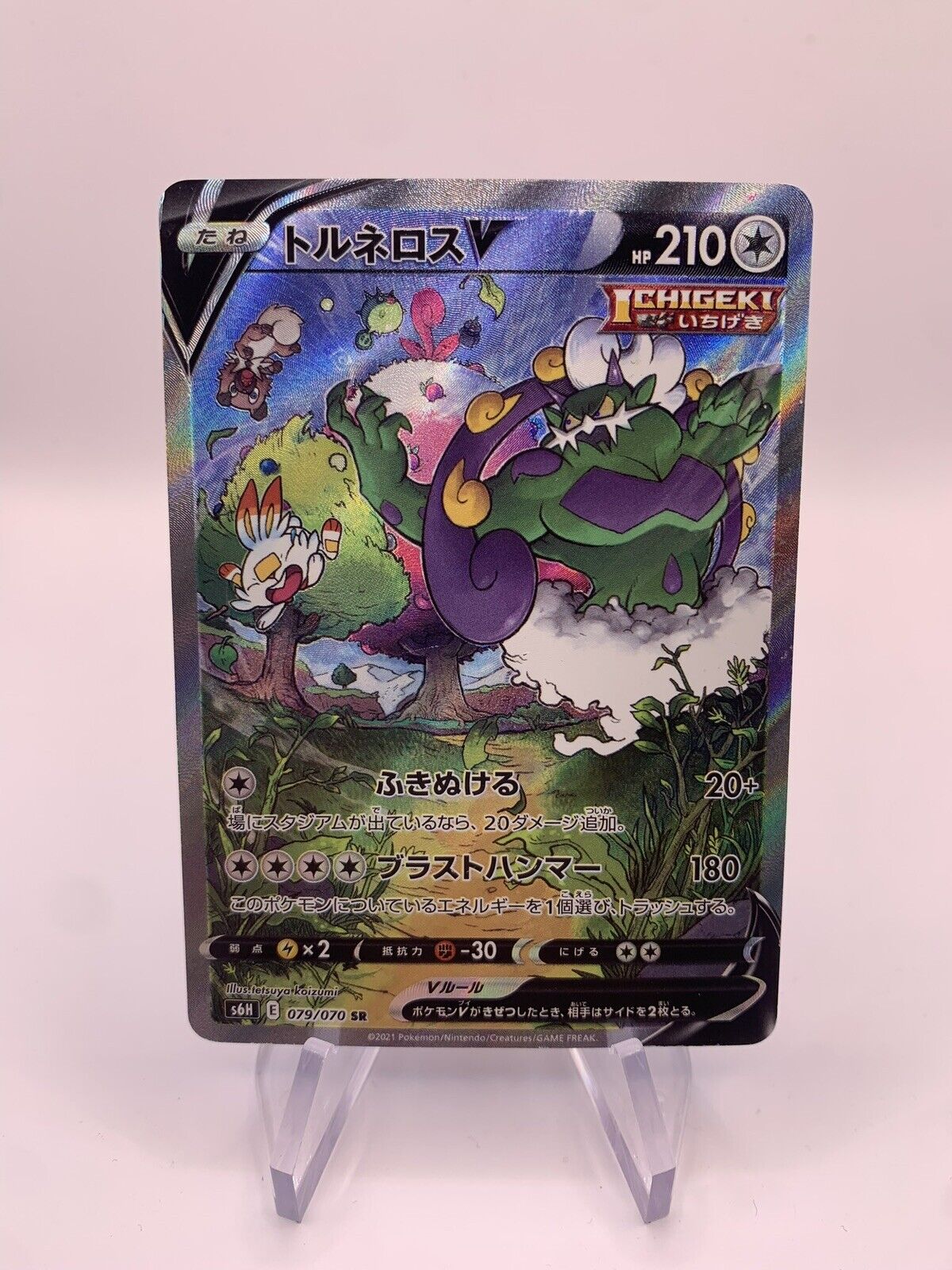 Pokemon Karte V Alt-Art Boreos 79/70 Japanisch