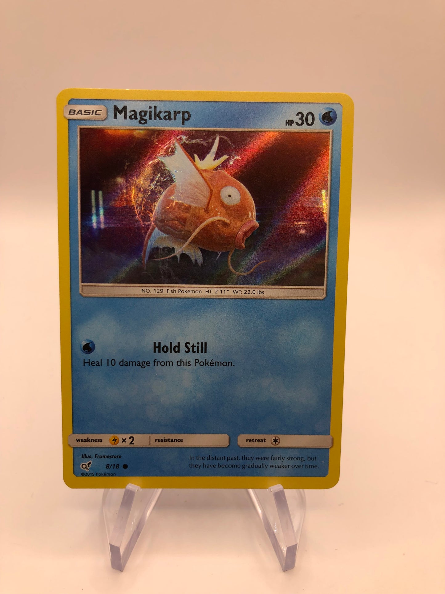 Pokemon Karte Holo Magikarp 8/18 Englisch